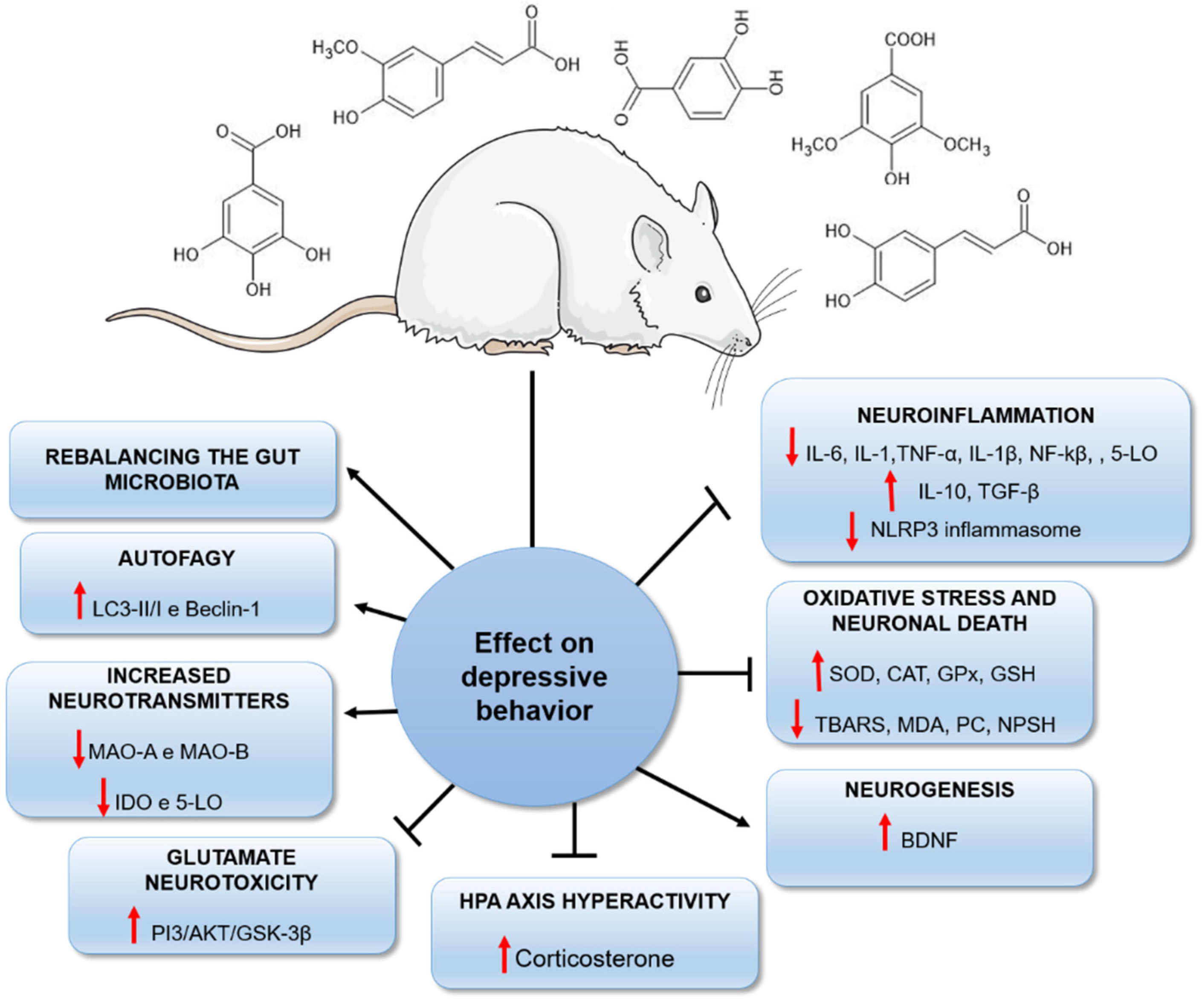 Nutrients 14 04309 g009