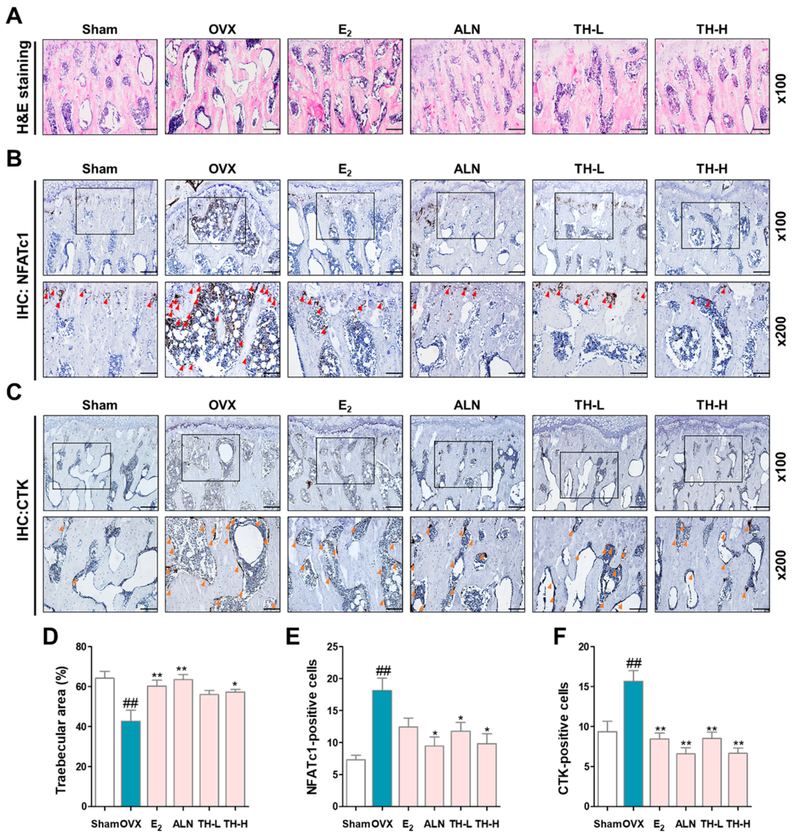 Nutrients 14 04354 g008
