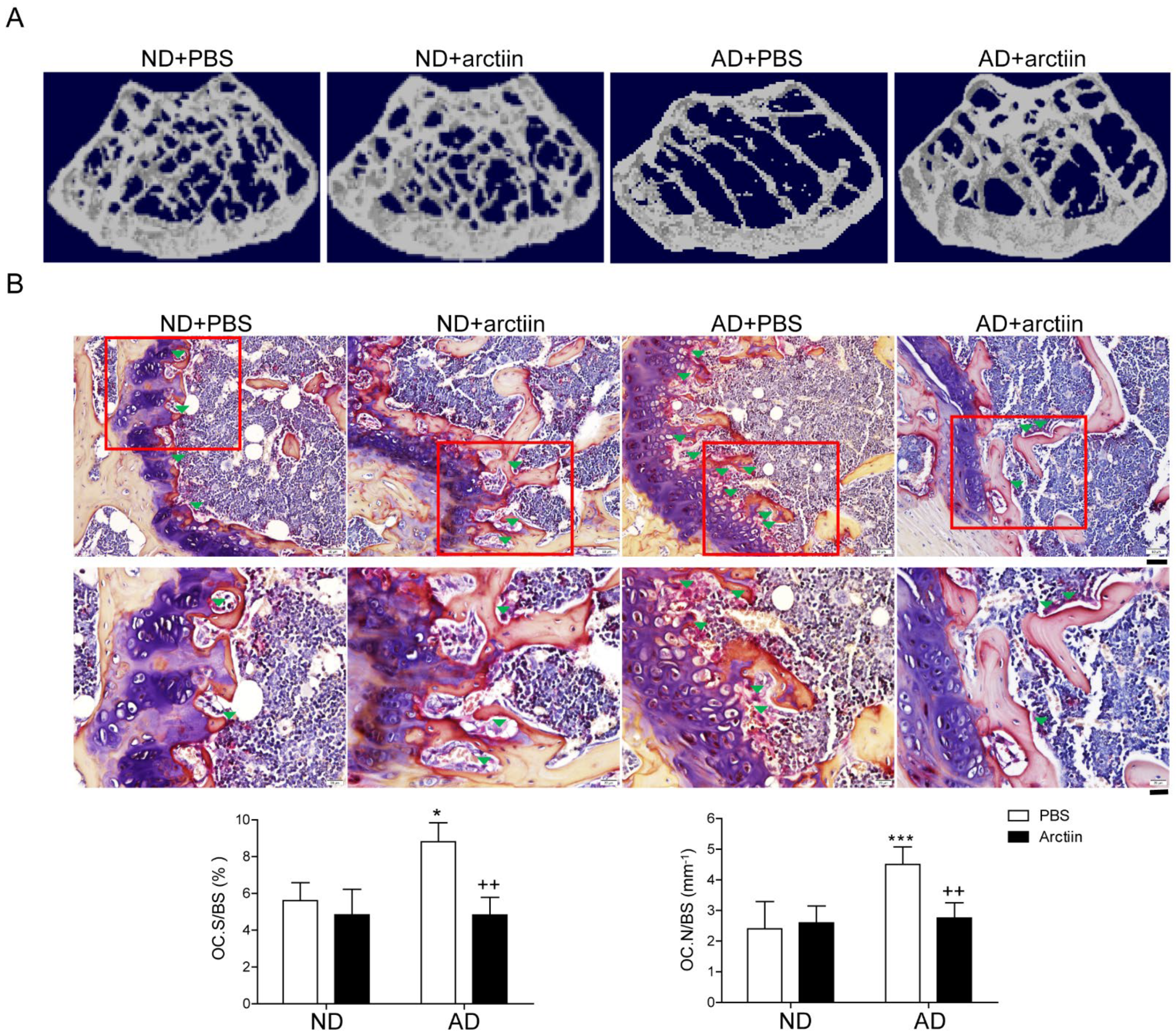 Nutrients 14 04483 g001 Nutrients 14 04483 g001