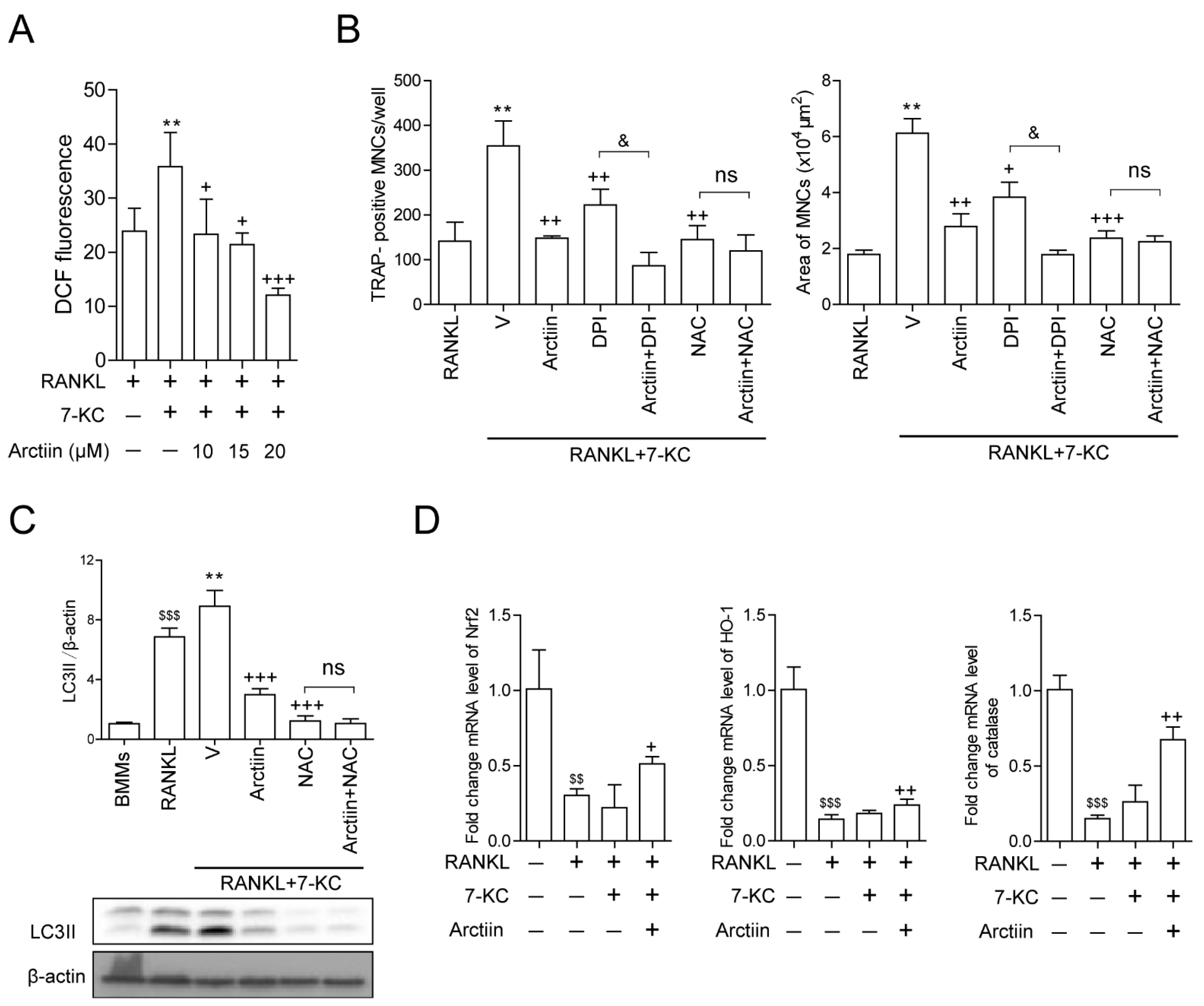 Nutrients 14 04483 g004a Nutrients 14 04483 g004a