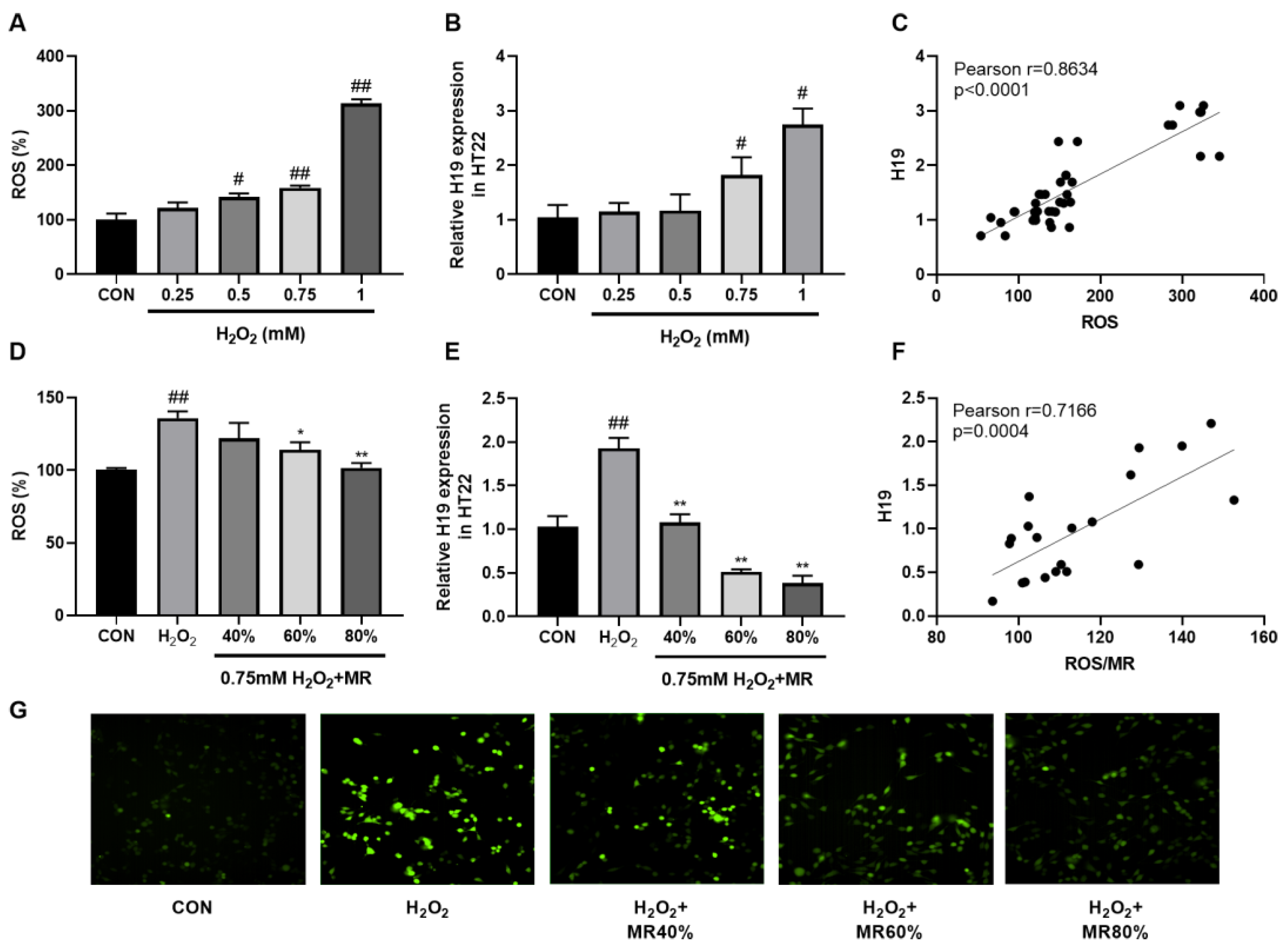 Nutrients 14 04503 g006