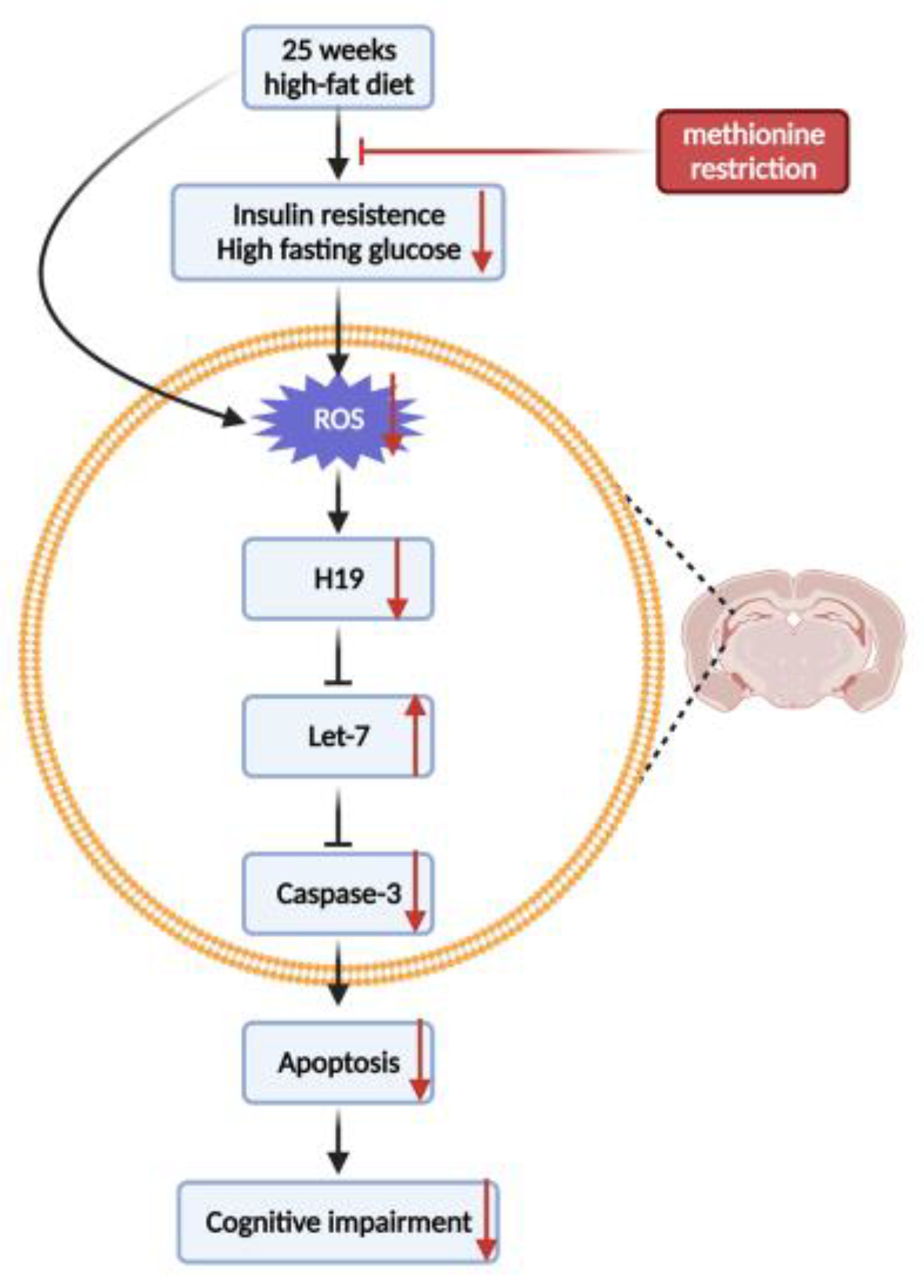 Nutrients 14 04503 g009