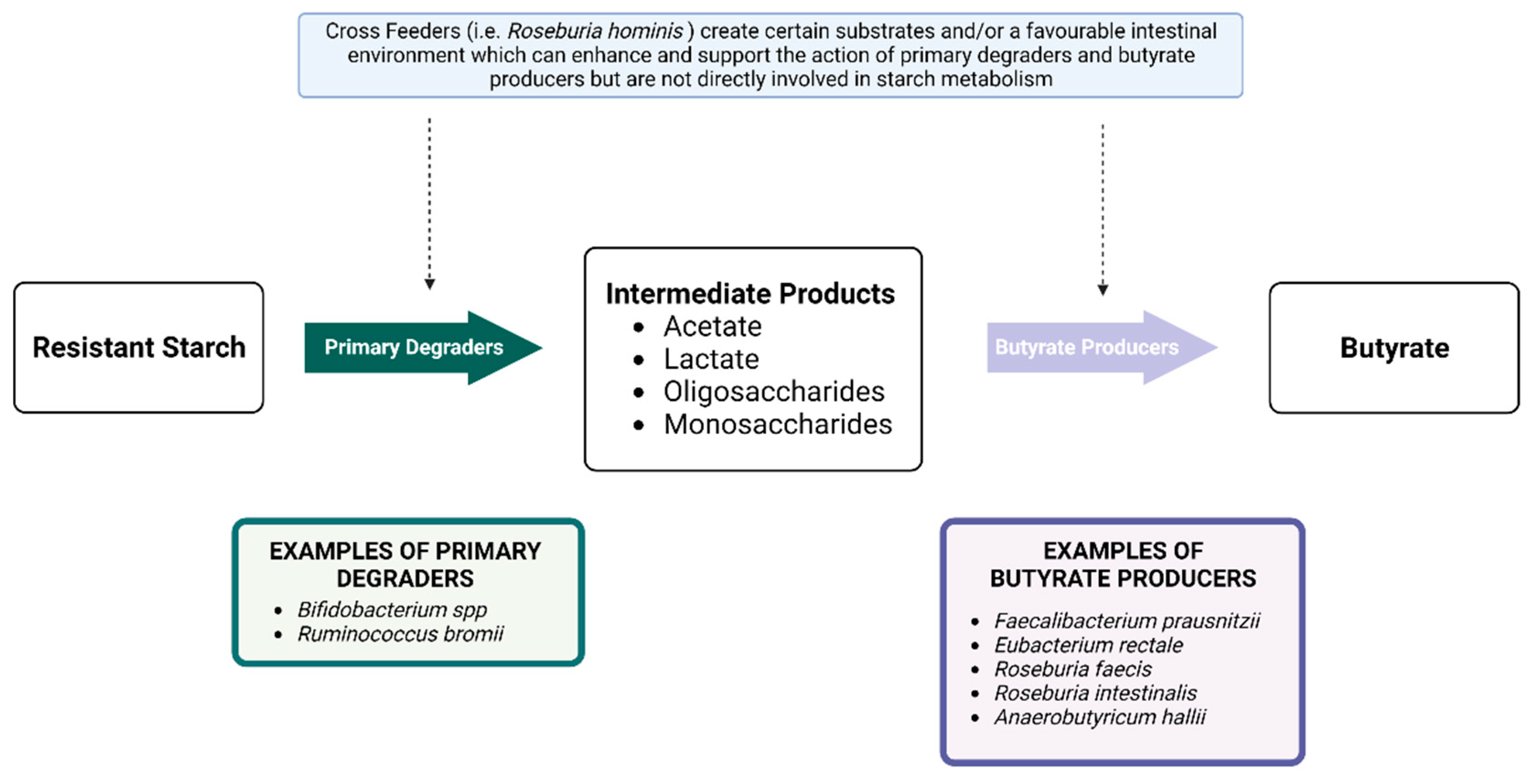 Nutrients 14 04547 g005