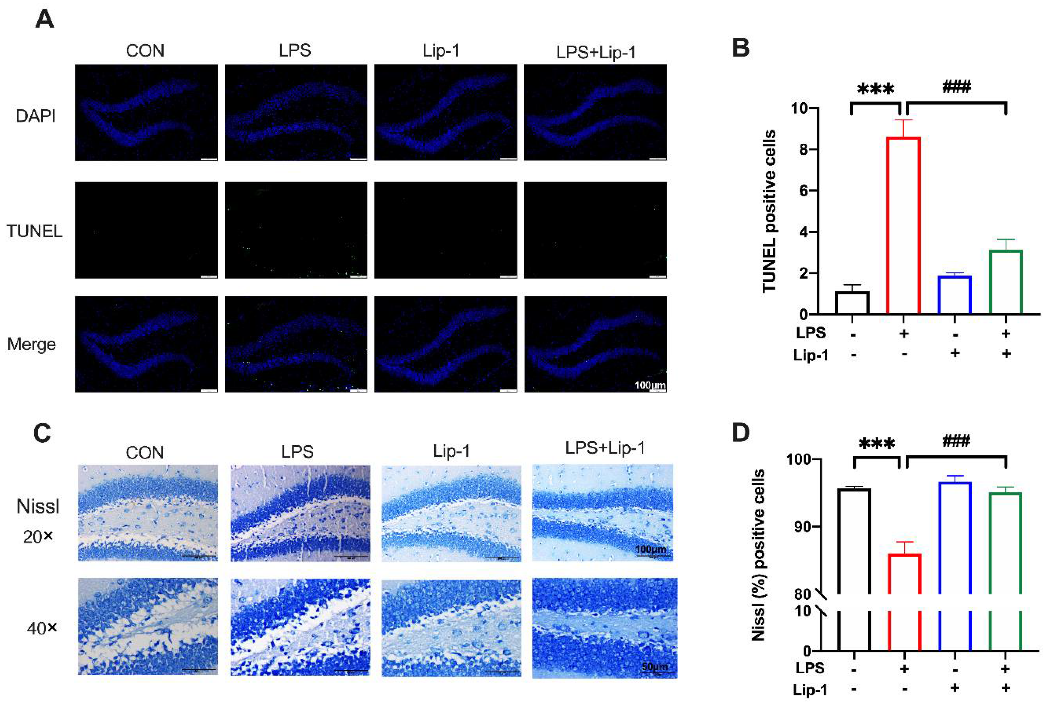 Nutrients 14 04599 g007 Nutrients 14 04599 g007