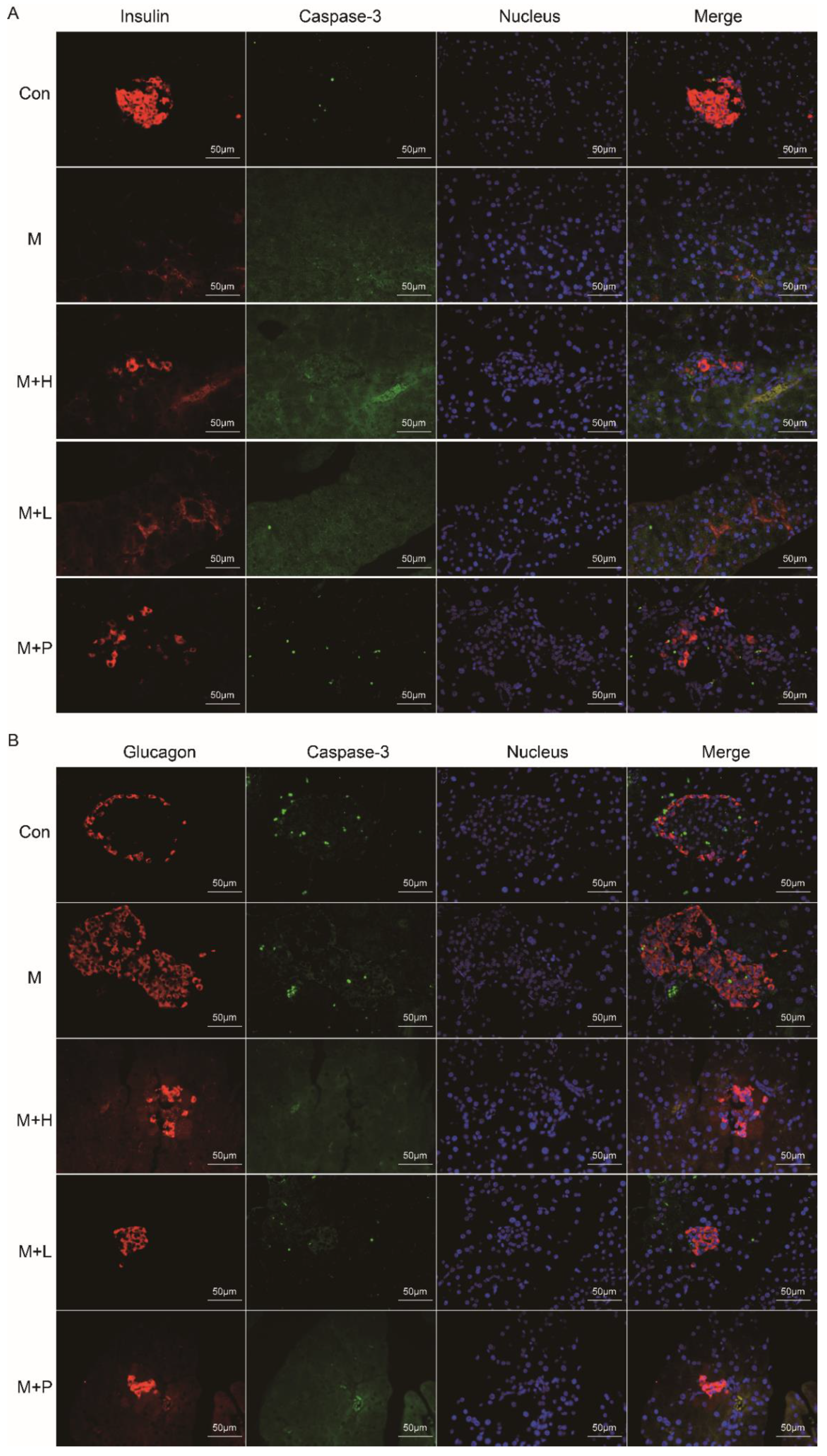 Nutrients 14 04620 g004 Nutrients 14 04620 g004