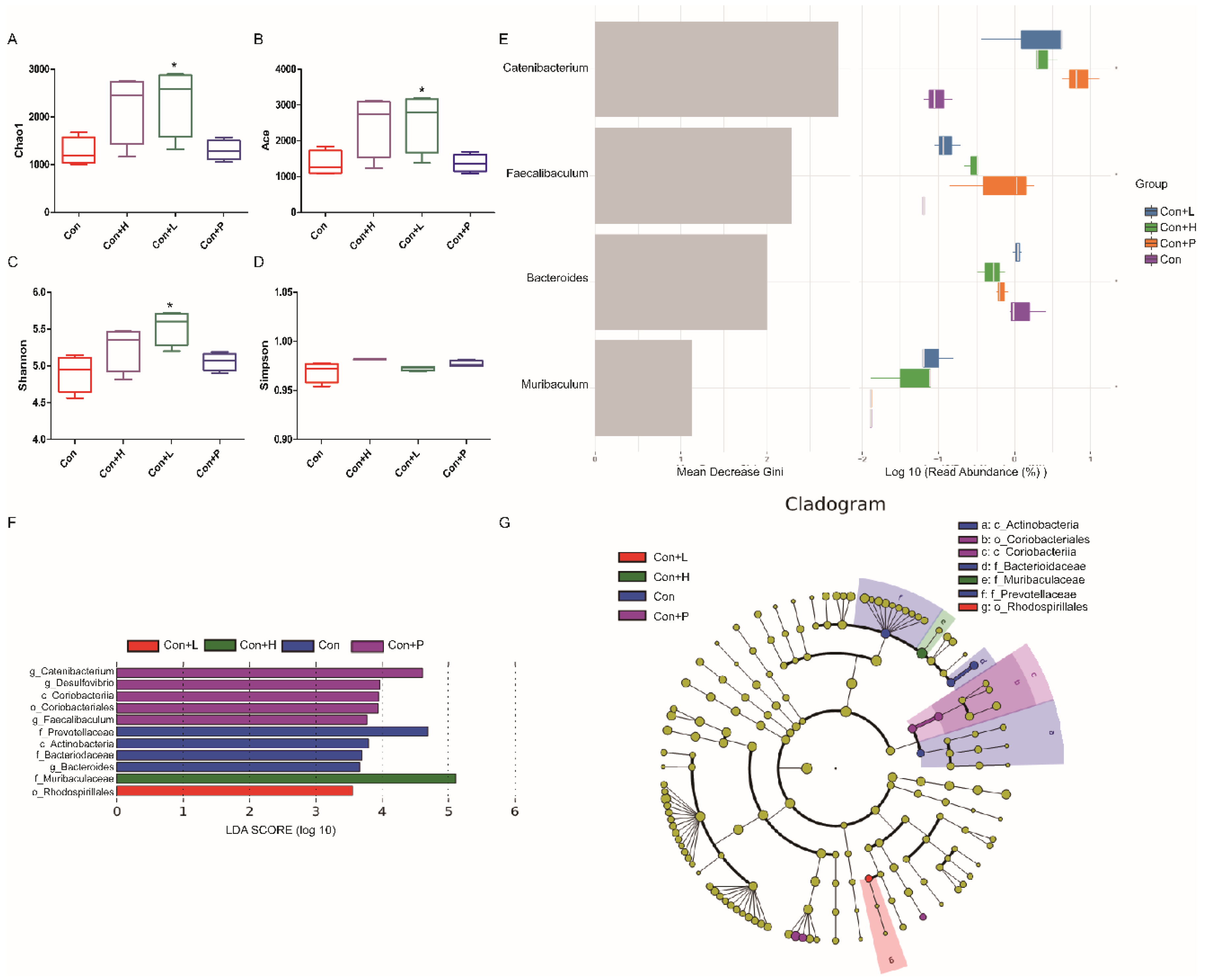 Nutrients 14 04620 g007 Nutrients 14 04620 g007