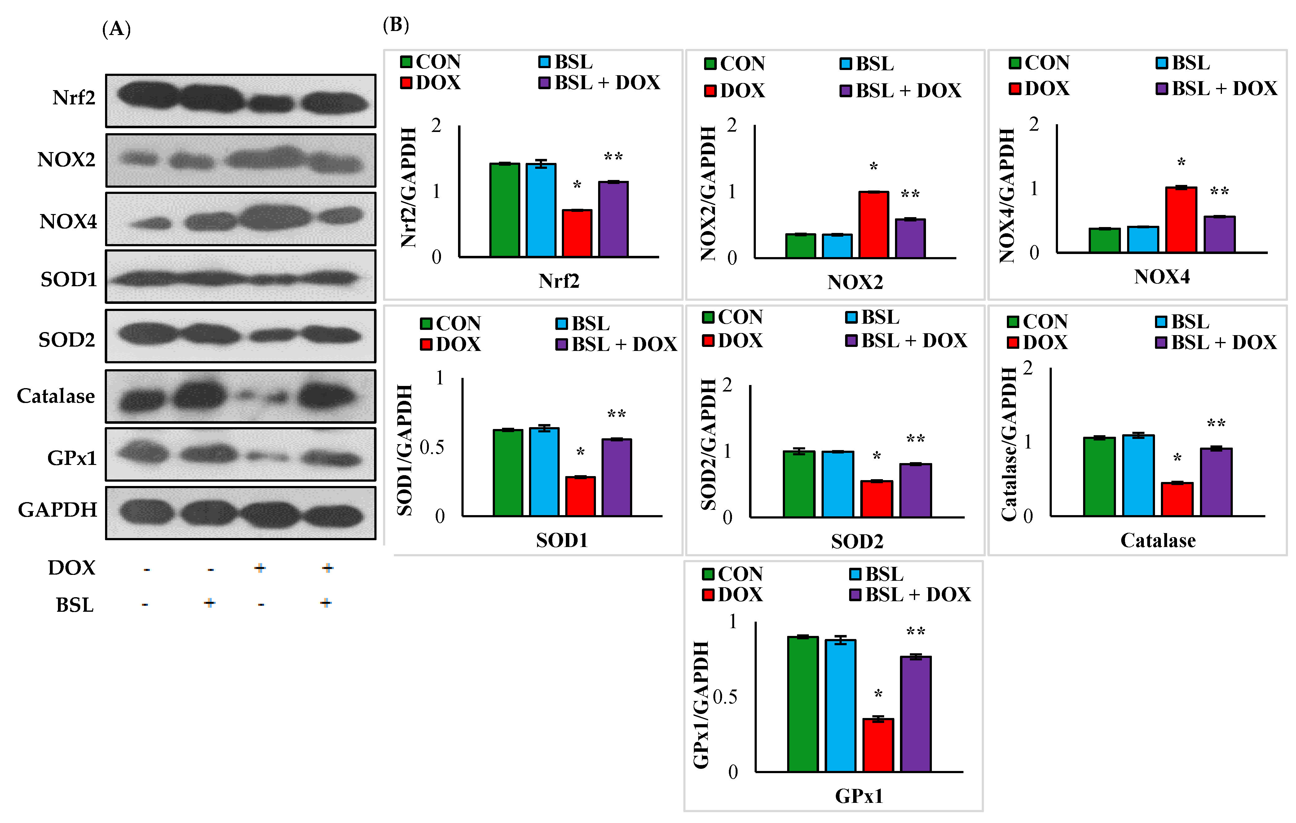 Nutrients 14 04648 g002