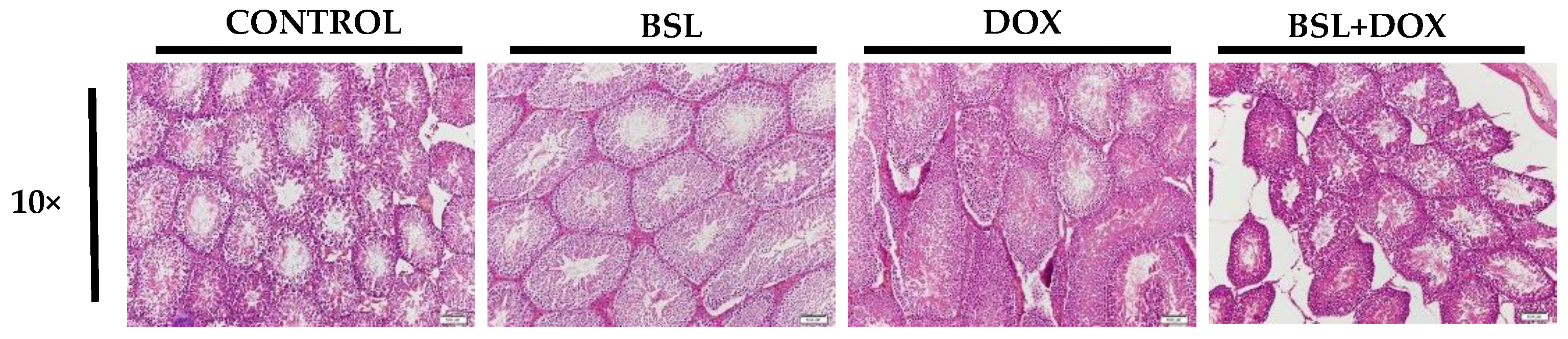 Nutrients 14 04648 g004