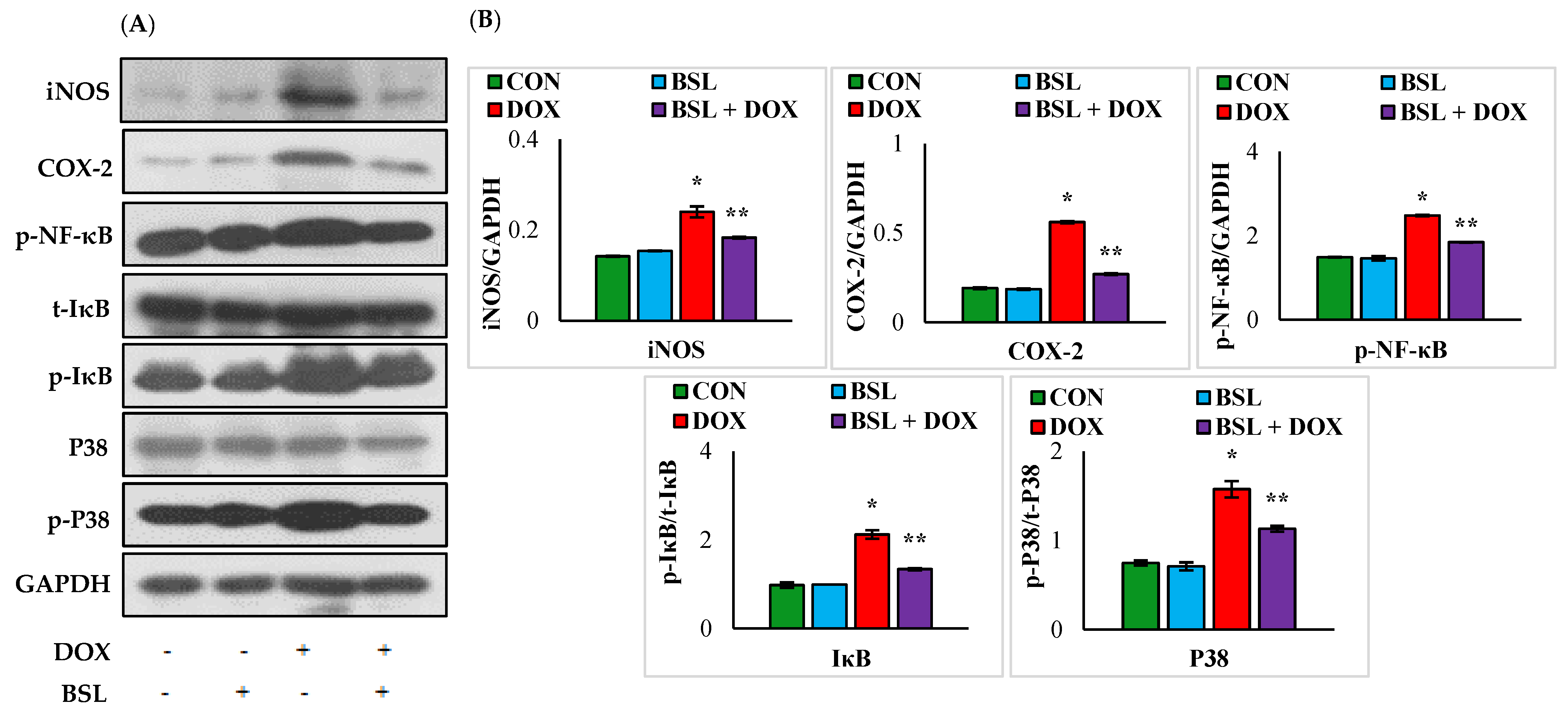 Nutrients 14 04648 g005