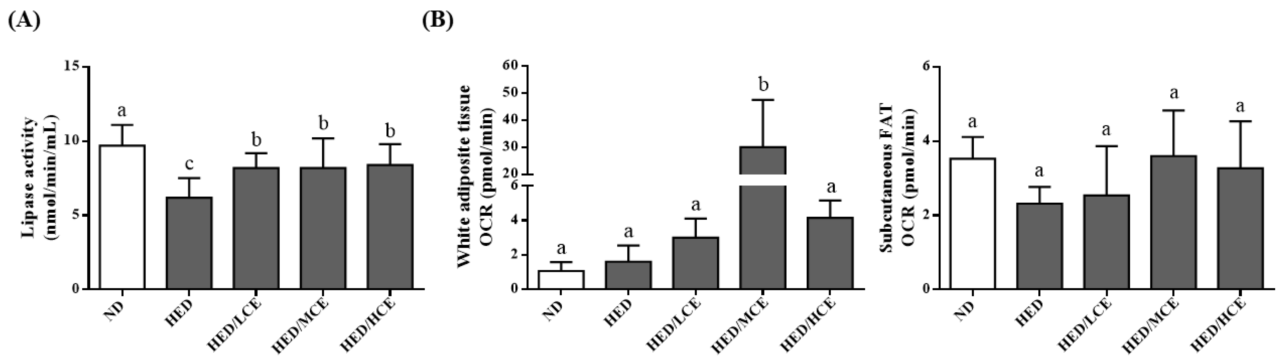 Nutrients 14 04665 g004 Nutrients 14 04665 g004