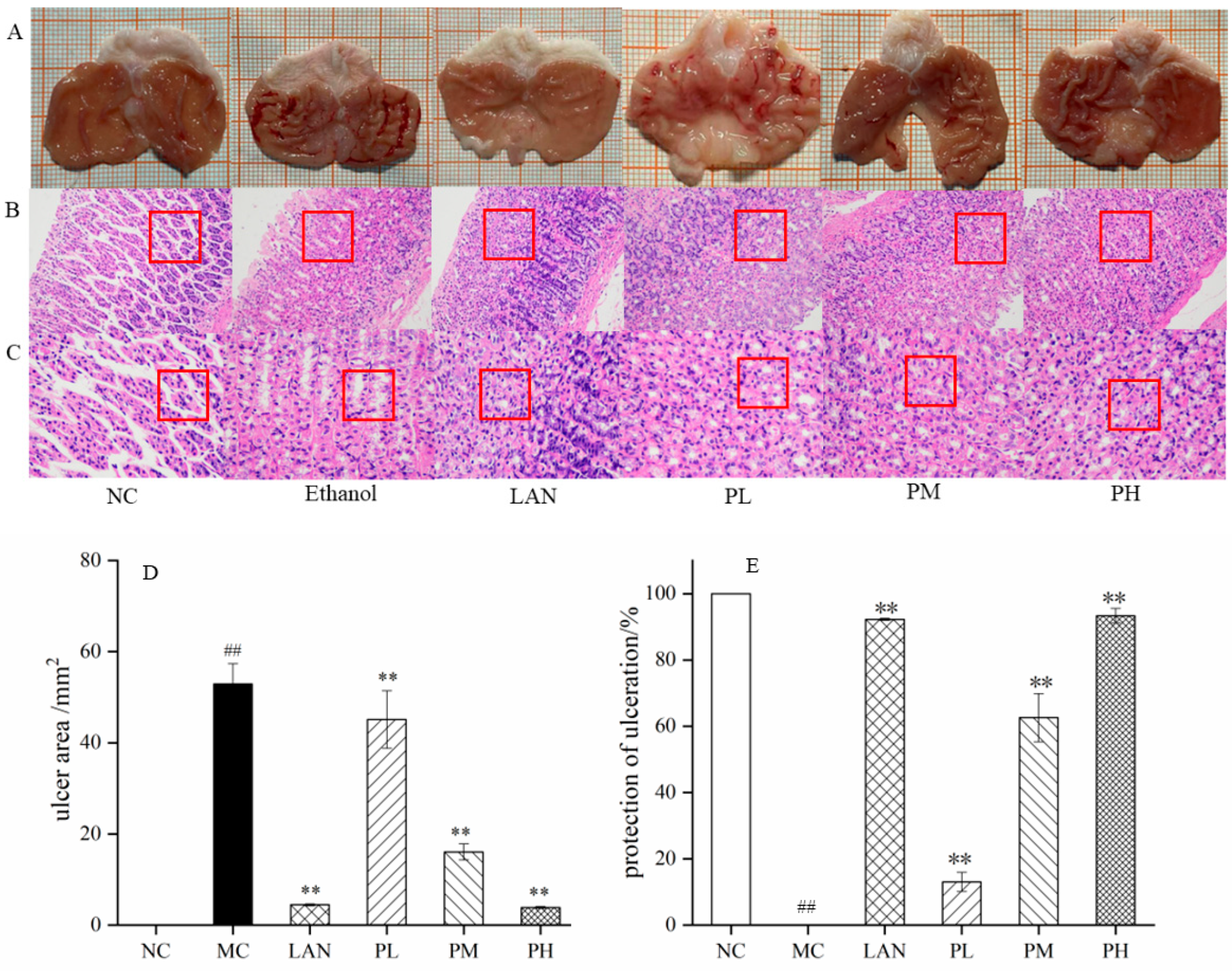 Nutrients 14 04744 g003 Nutrients 14 04744 g003