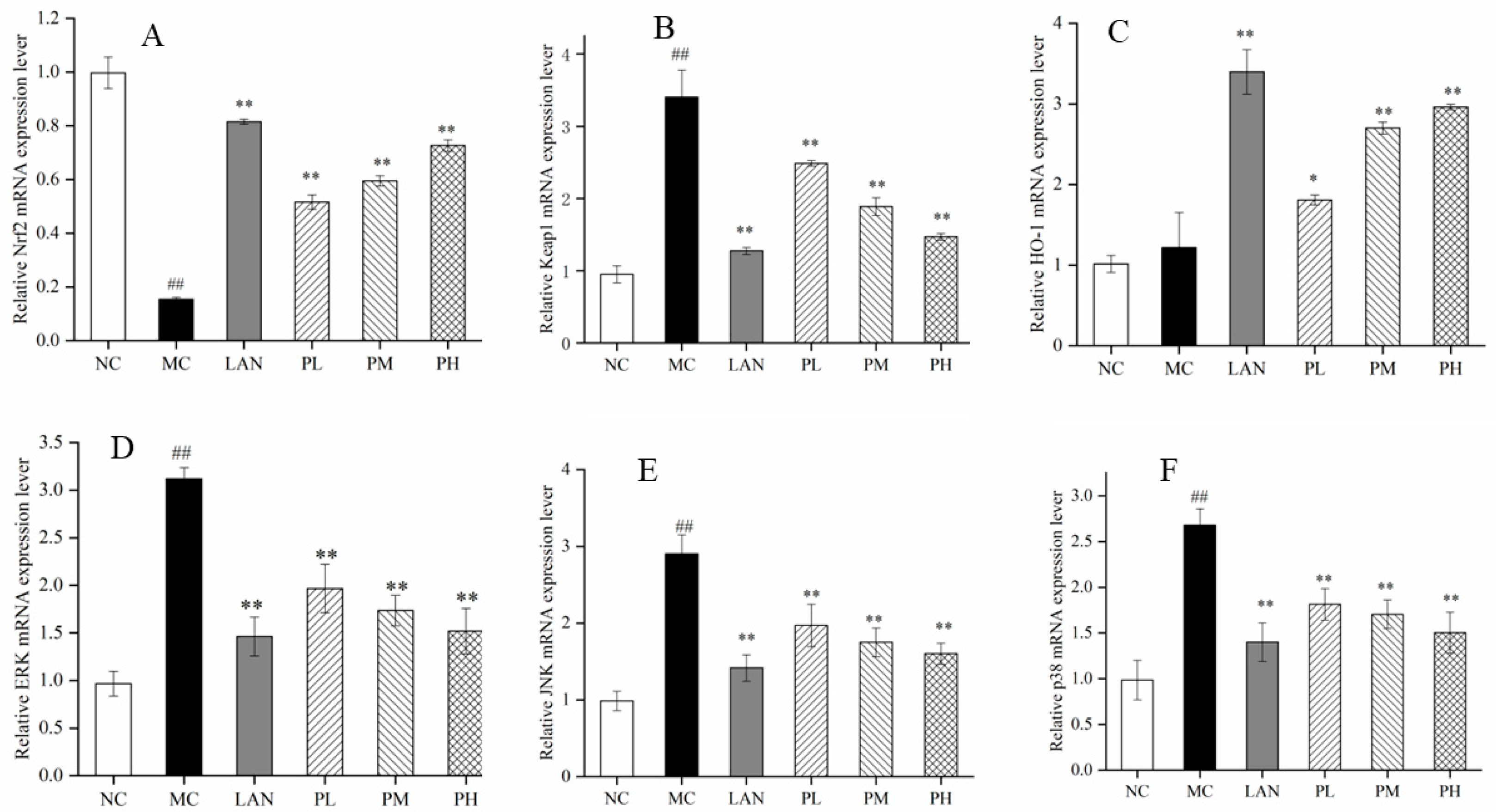 Nutrients 14 04744 g005 Nutrients 14 04744 g005