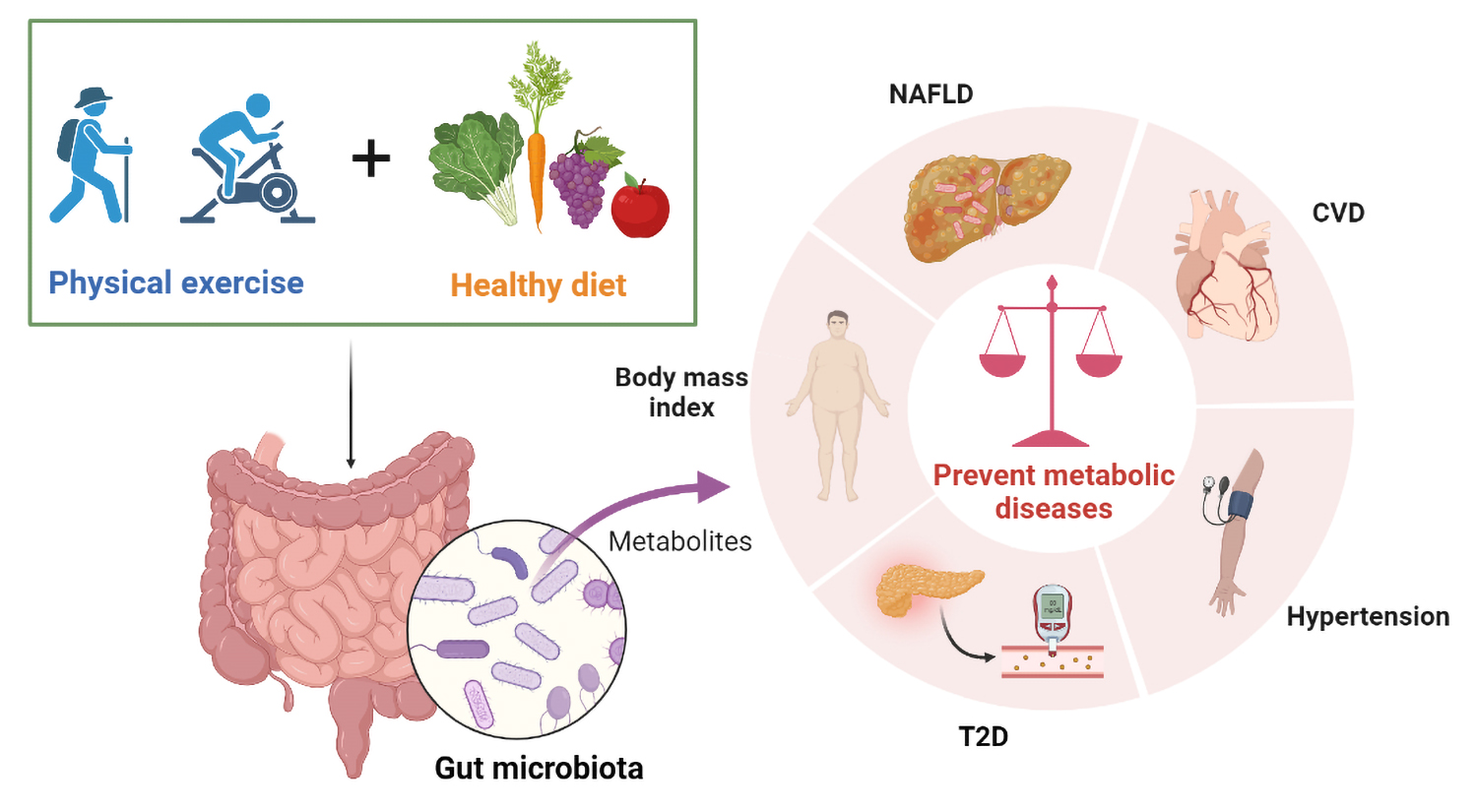 Nutrients | Free Full-Text | Combined Physical Exercise and Diet ...