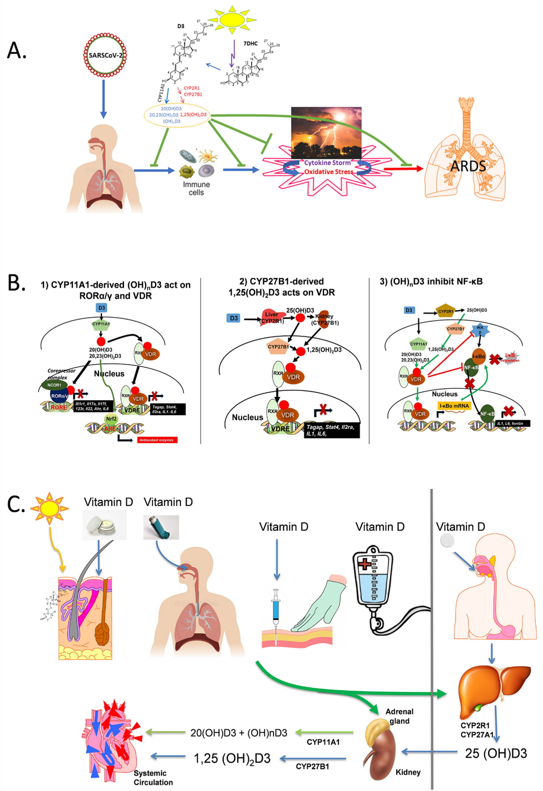 Nutrients 14 04779 g001
