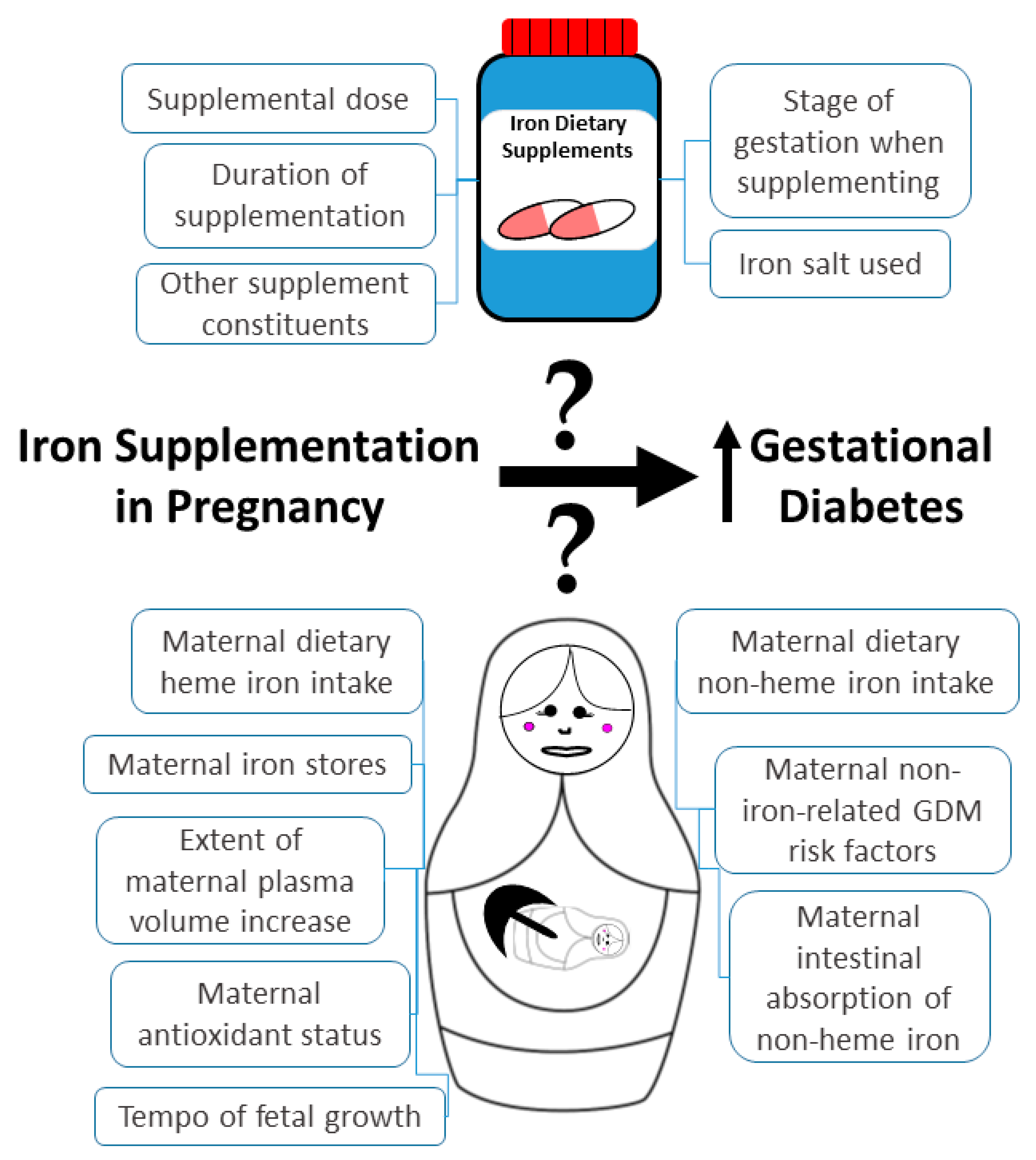 Nutrients | Free Full-Text | Iron Supplementation in Pregnancy and Risk of  Gestational Diabetes: A Narrative Review