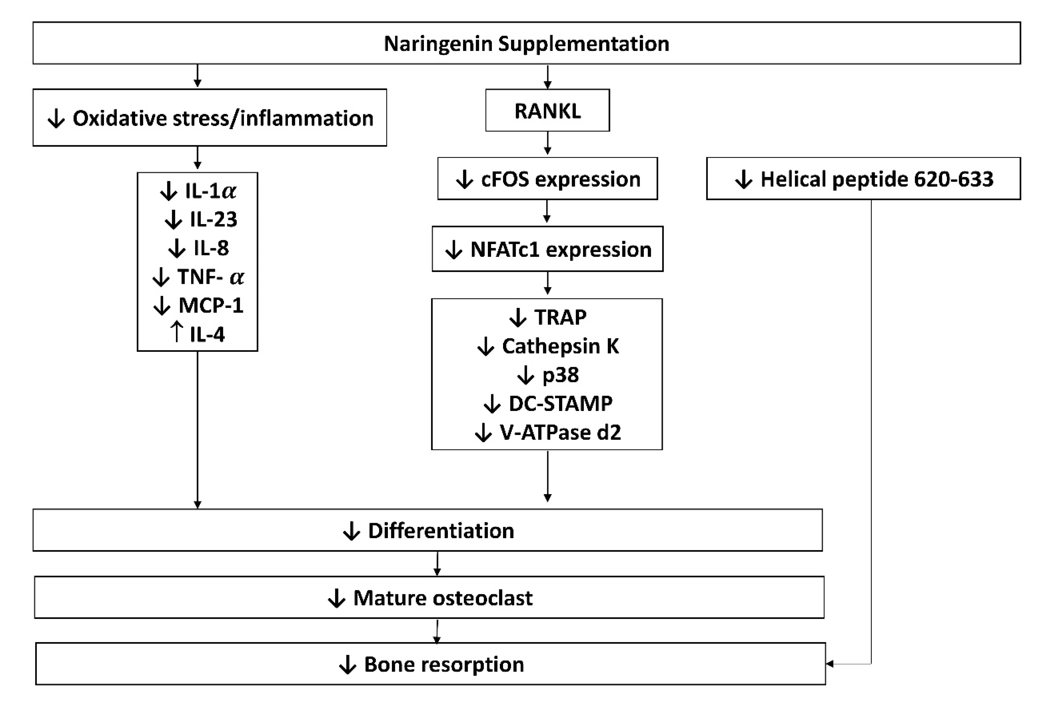 Nutrients 14 04851 g004 Nutrients 14 04851 g004