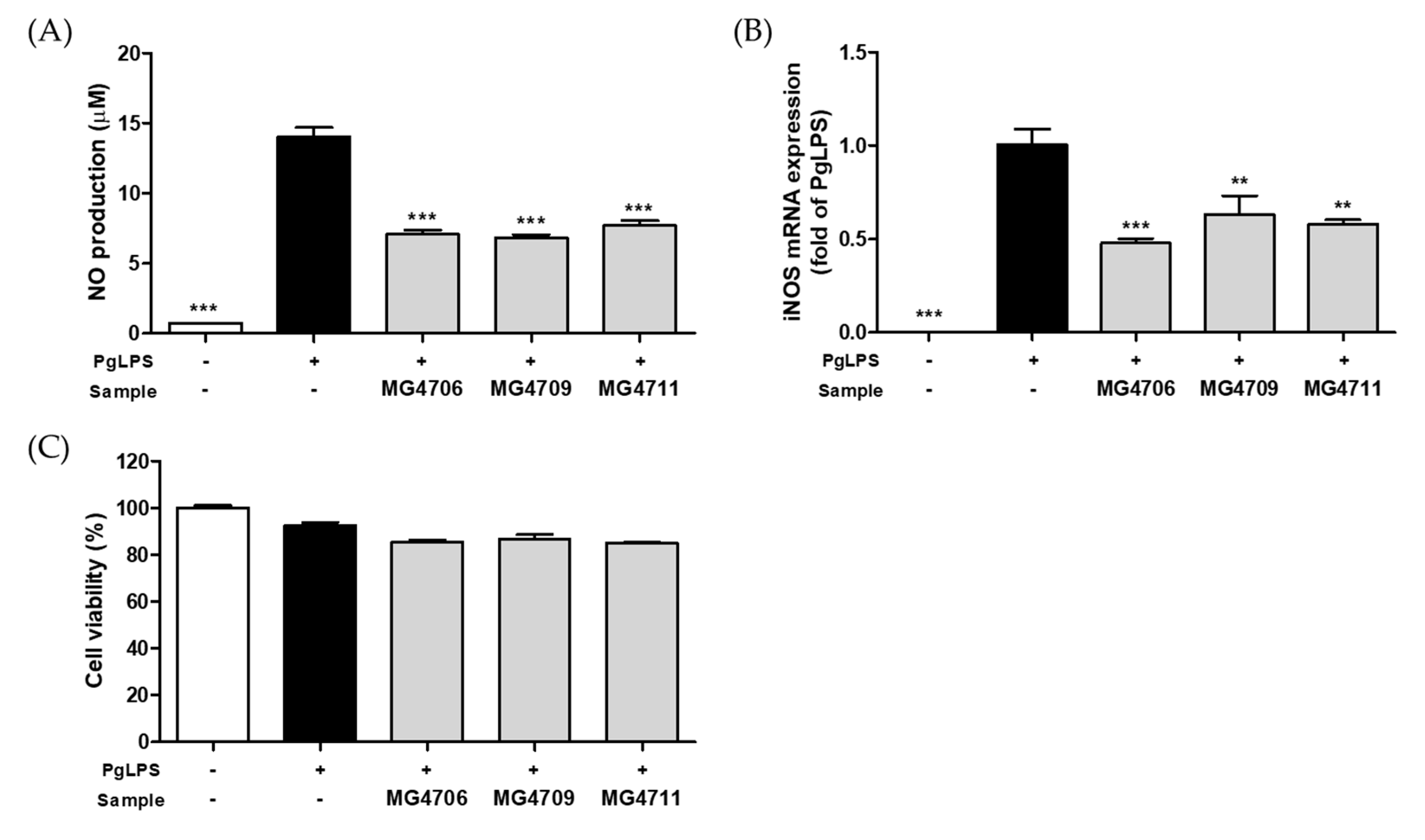 Nutrients 14 04869 g001 Nutrients 14 04869 g001