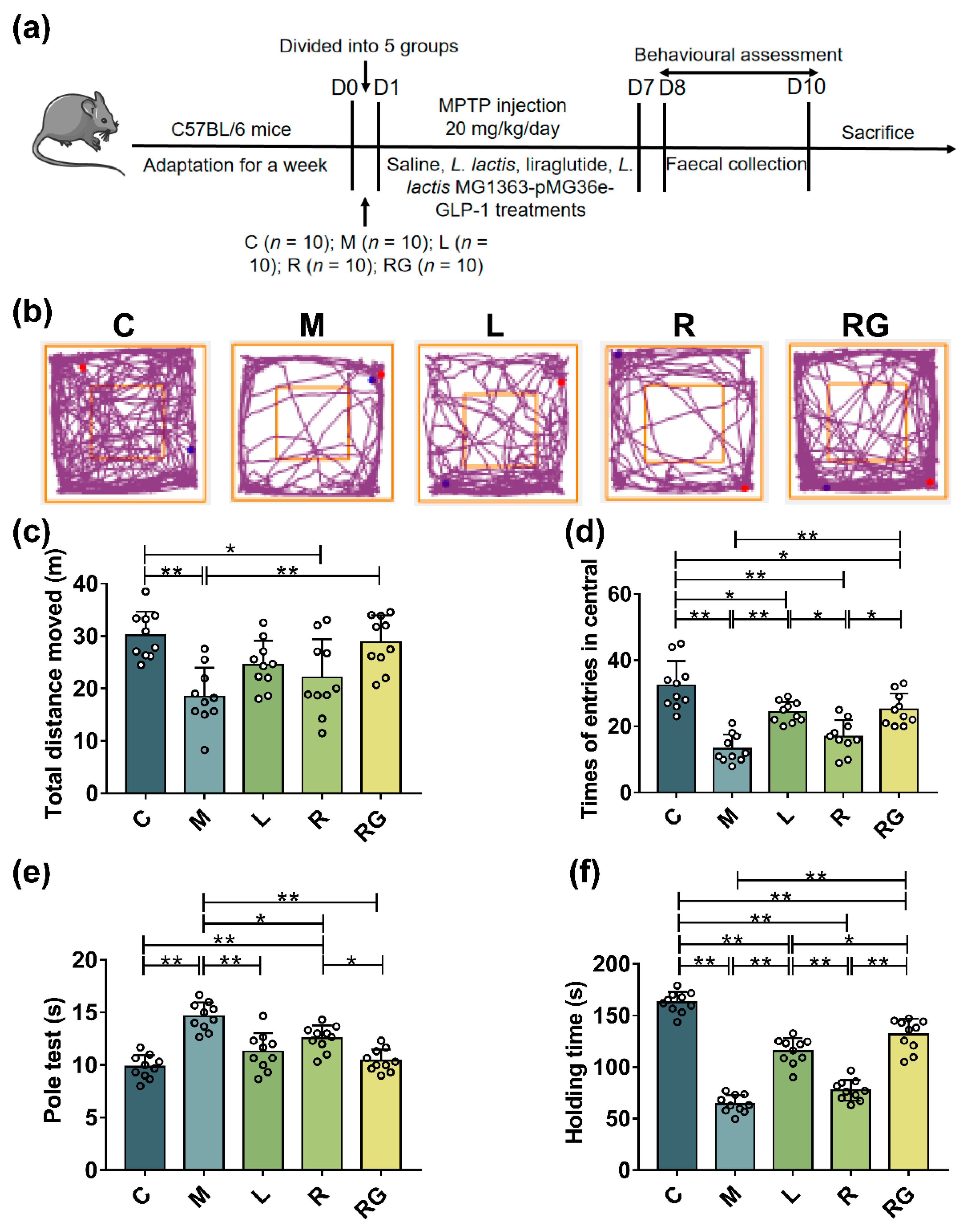 Nutrients 14 04886 g001