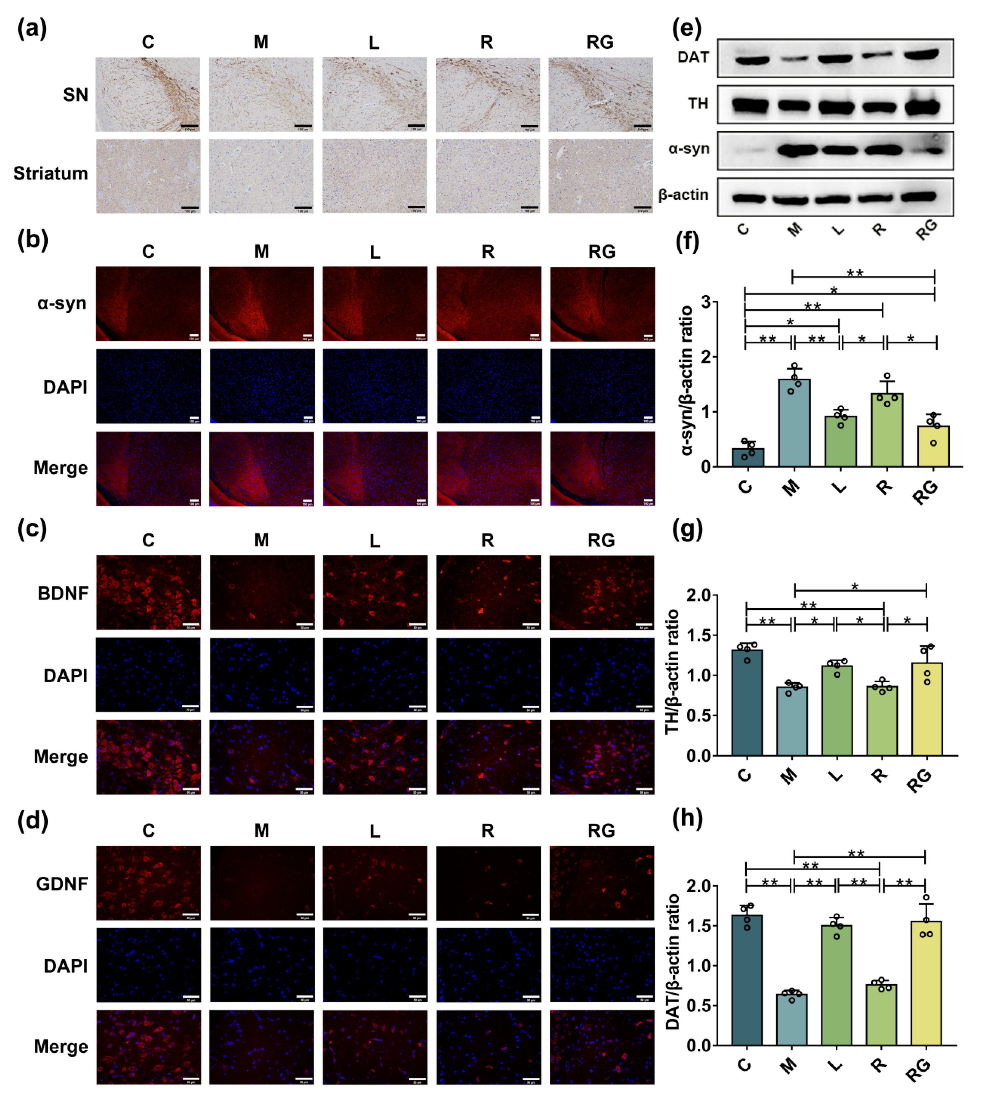 Nutrients 14 04886 g002