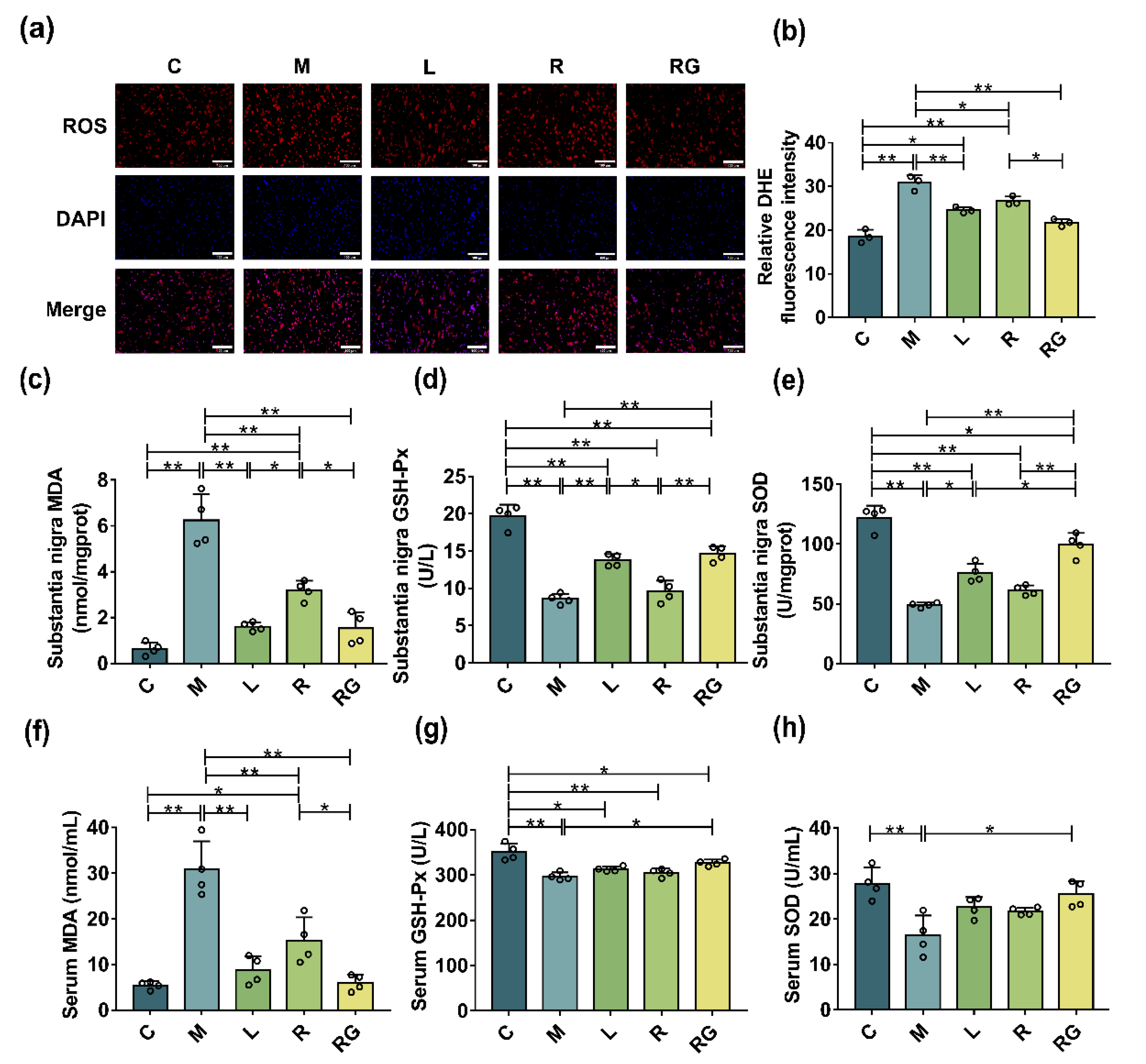 Nutrients 14 04886 g005