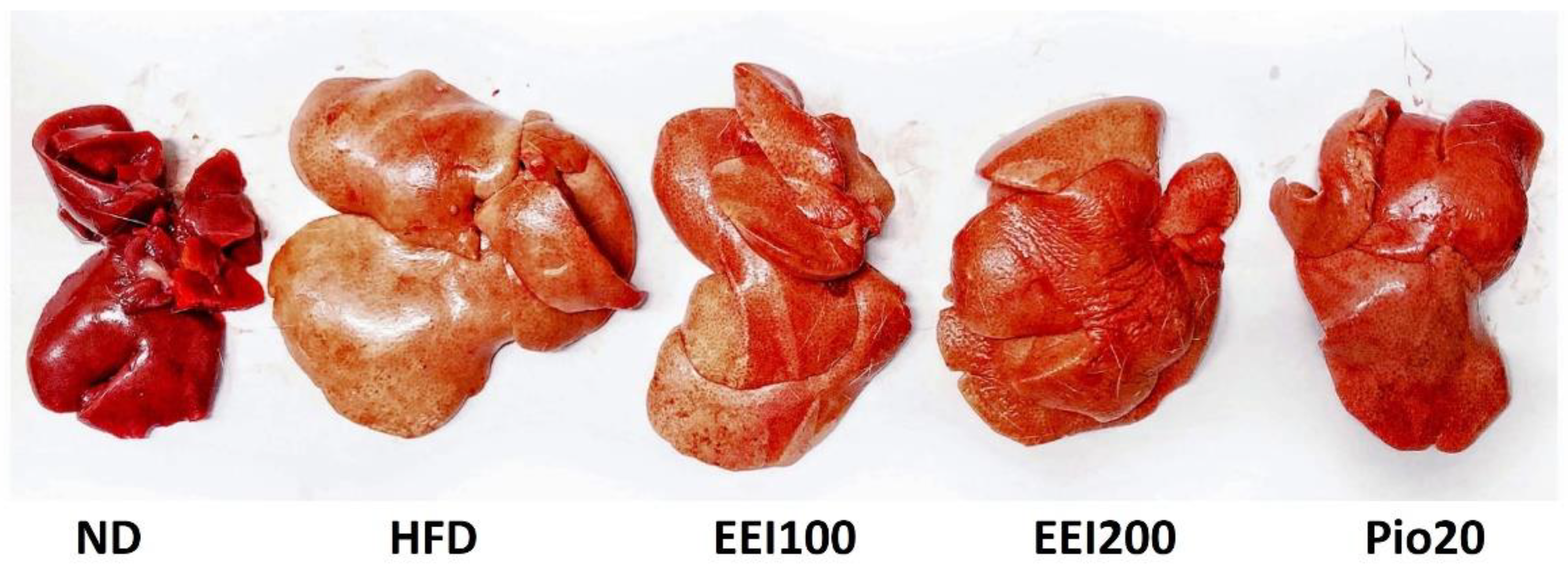 Nutrients 14 04895 g005 Nutrients 14 04895 g005