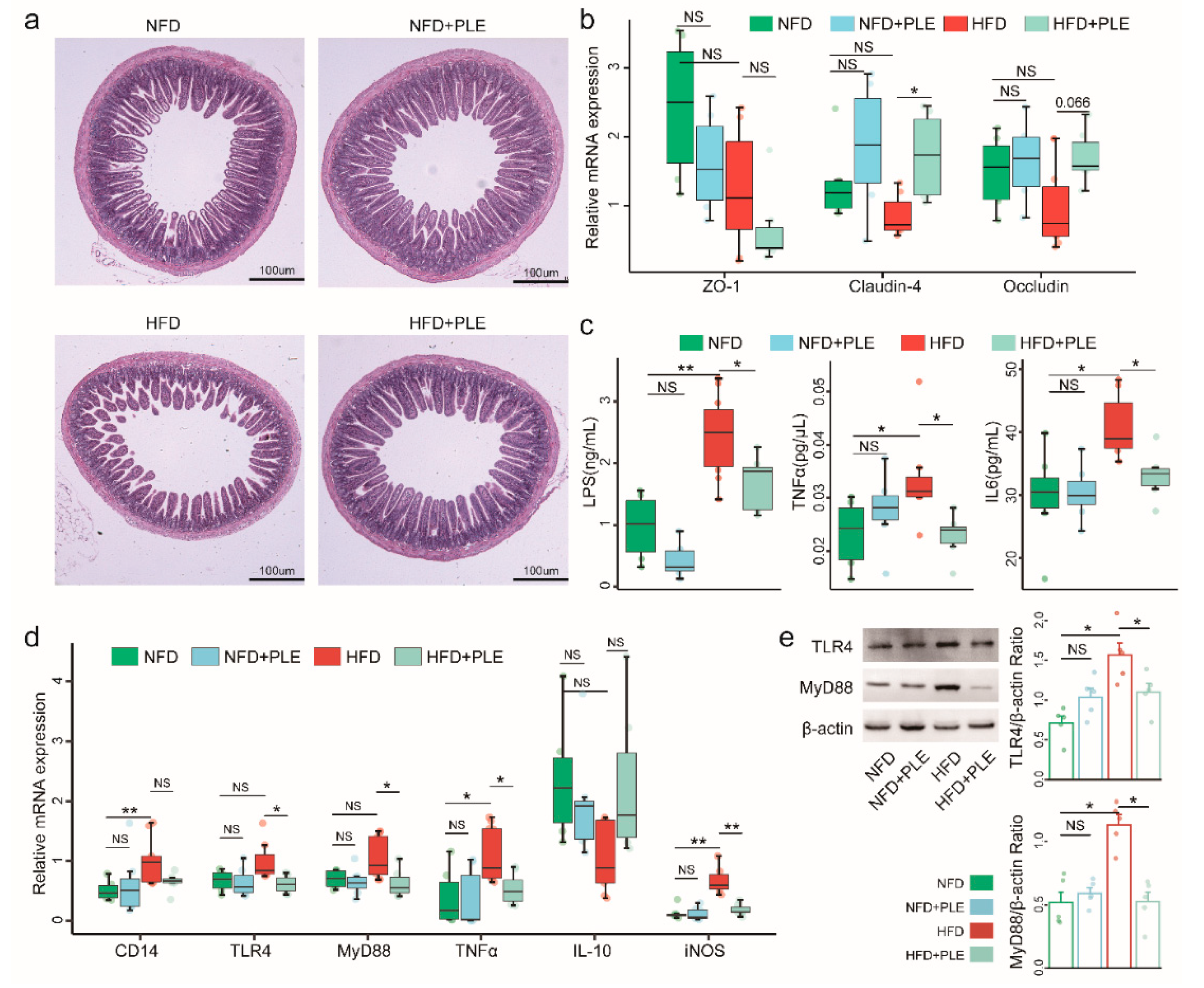 Nutrients 14 04930 g003 Nutrients 14 04930 g003