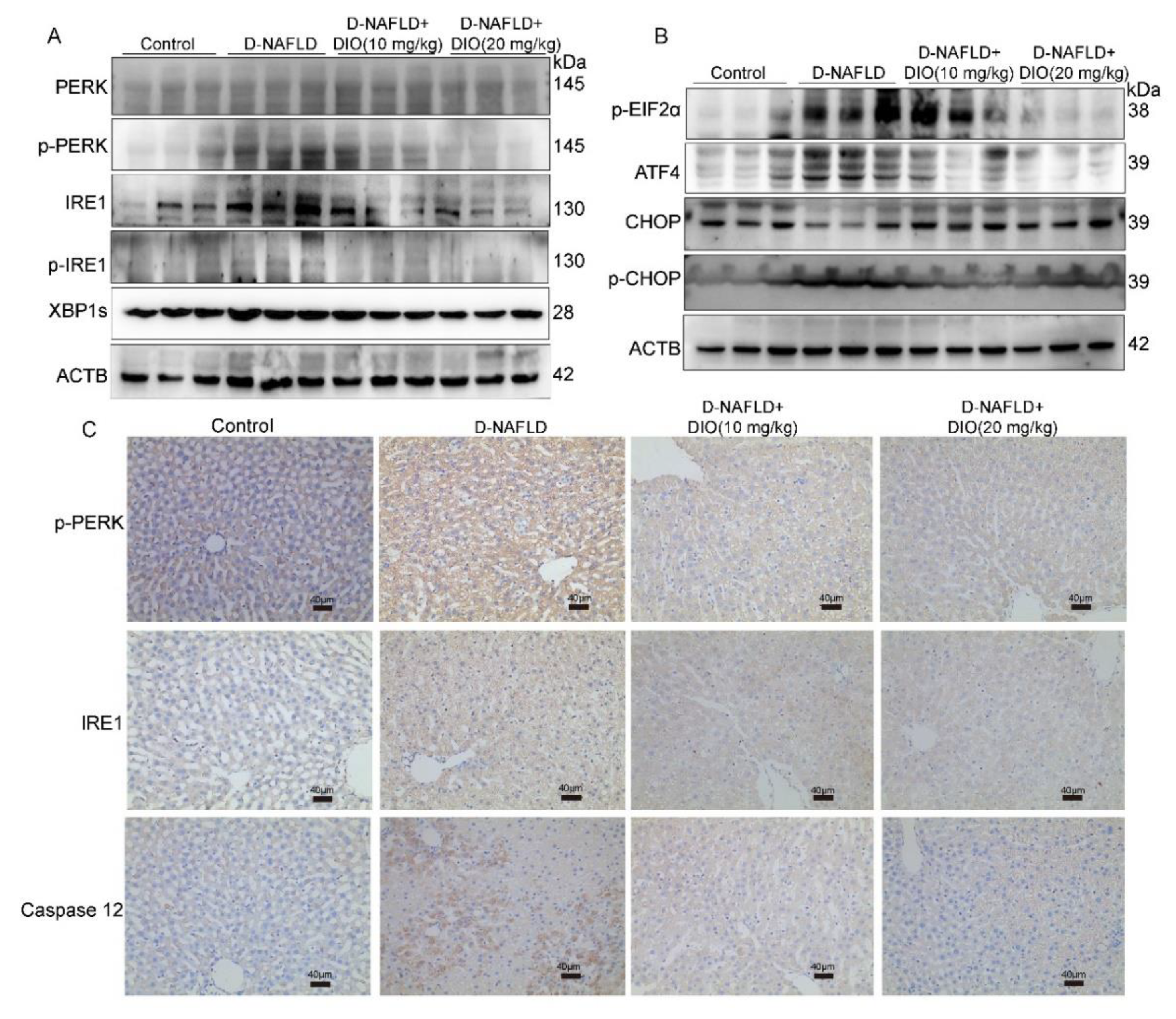 Nutrients 14 04994 g005 Nutrients 14 04994 g005