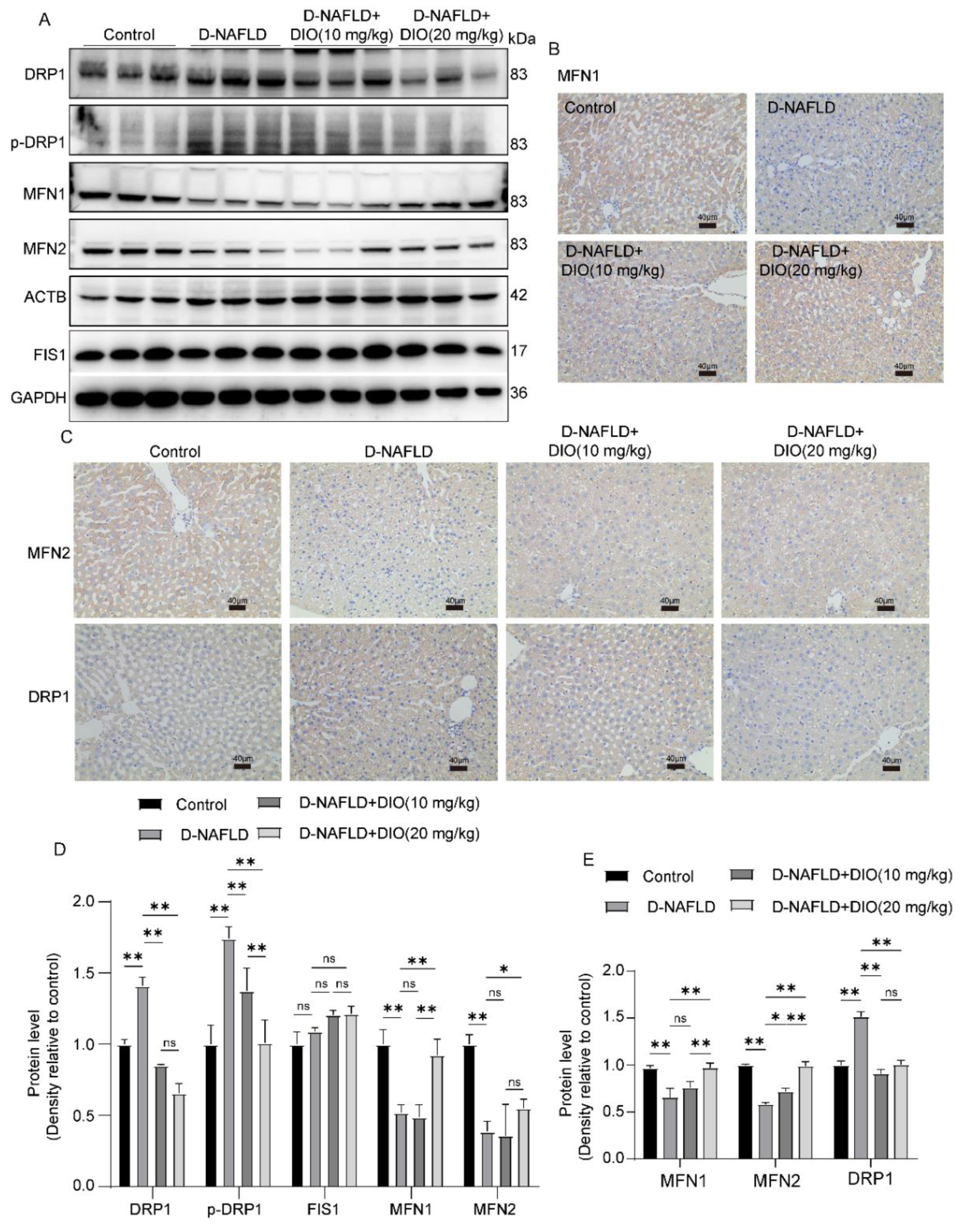 Nutrients 14 04994 g008 Nutrients 14 04994 g008