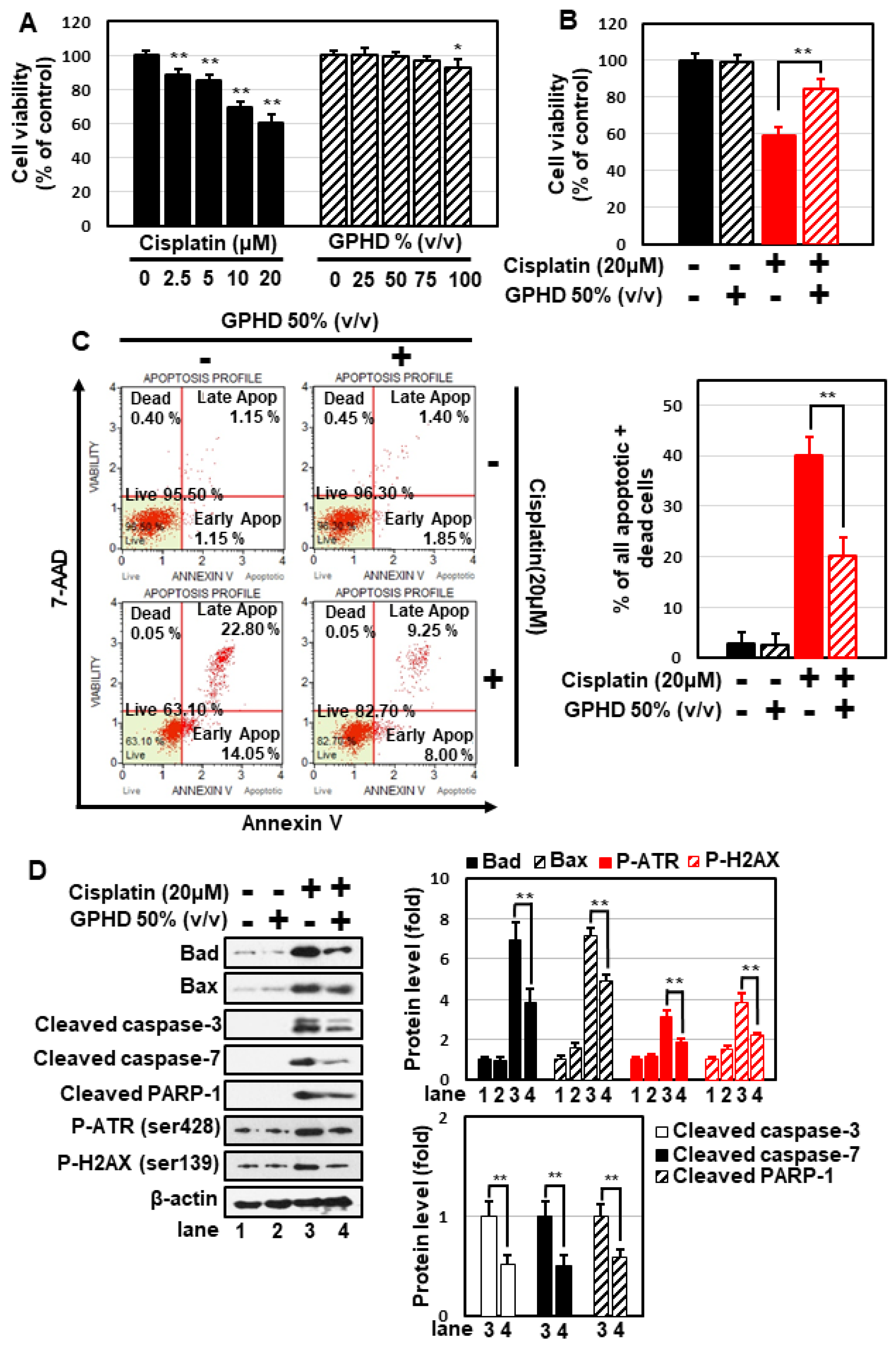 Nutrients 14 04997 g001 Nutrients 14 04997 g001
