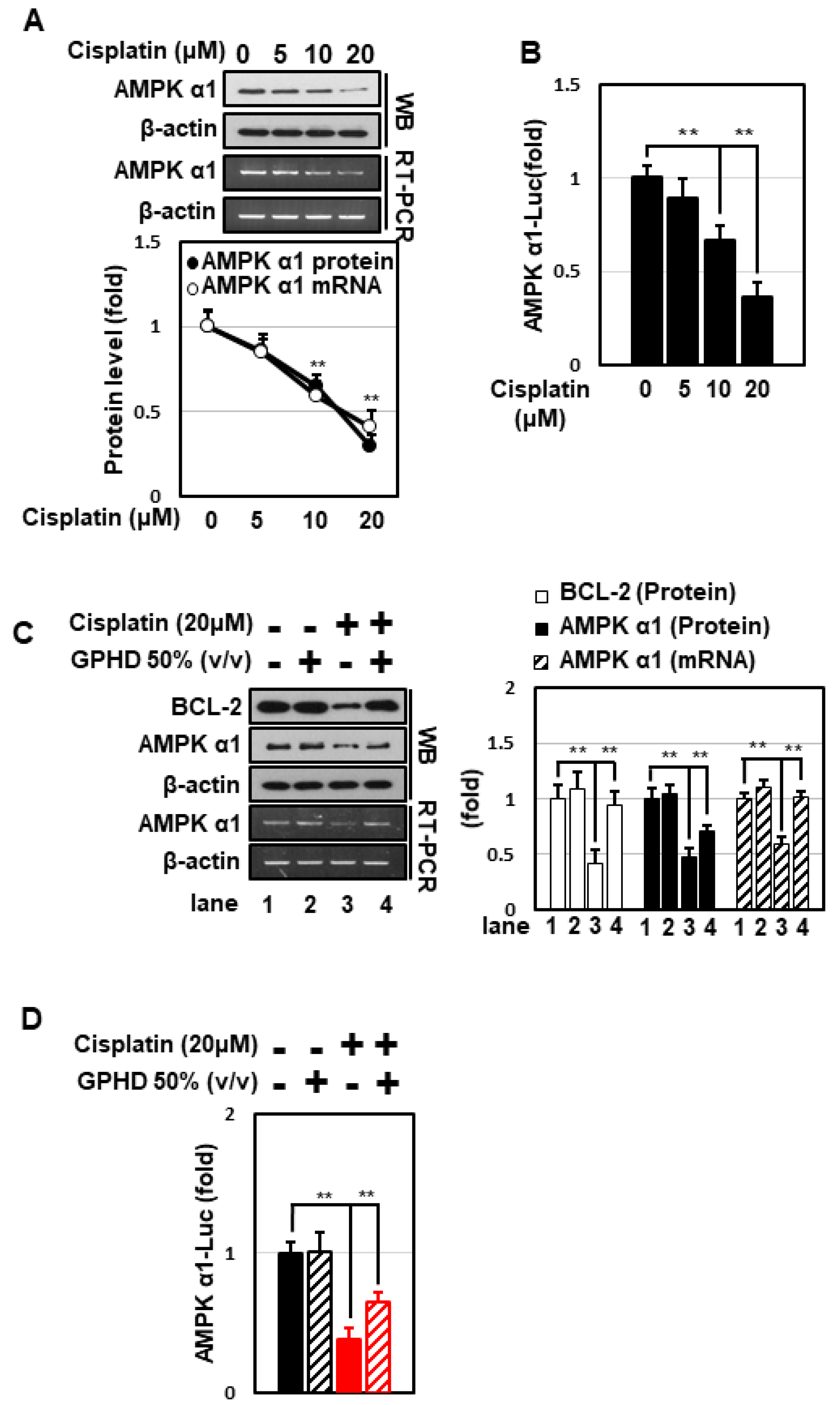 Nutrients 14 04997 g002 Nutrients 14 04997 g002