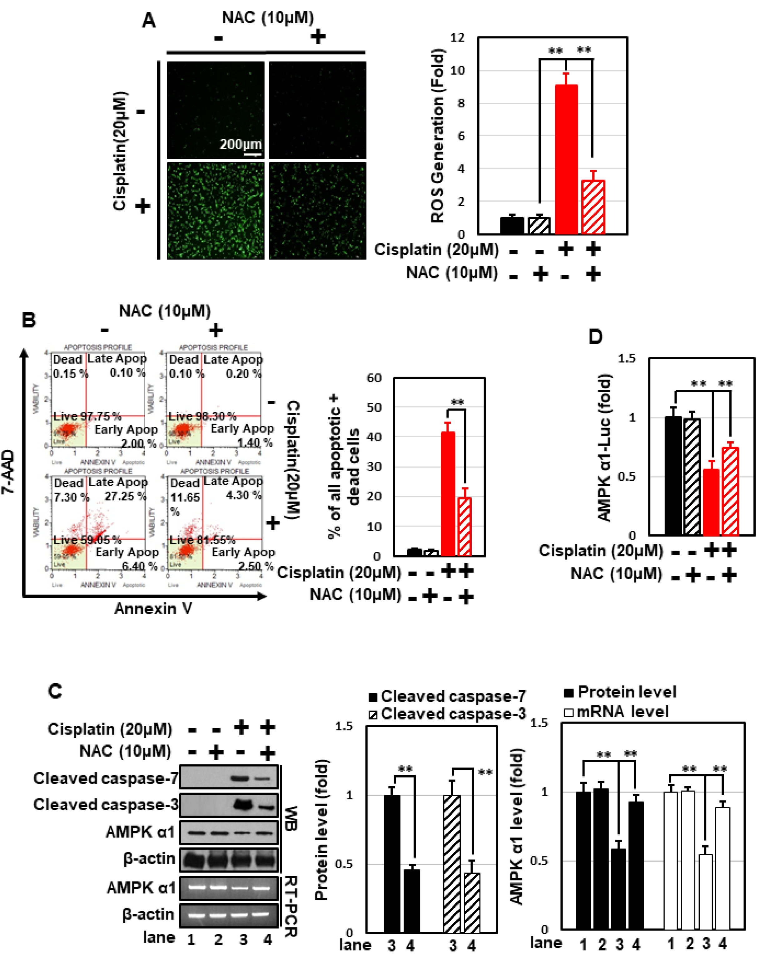 Nutrients 14 04997 g004a Nutrients 14 04997 g004a