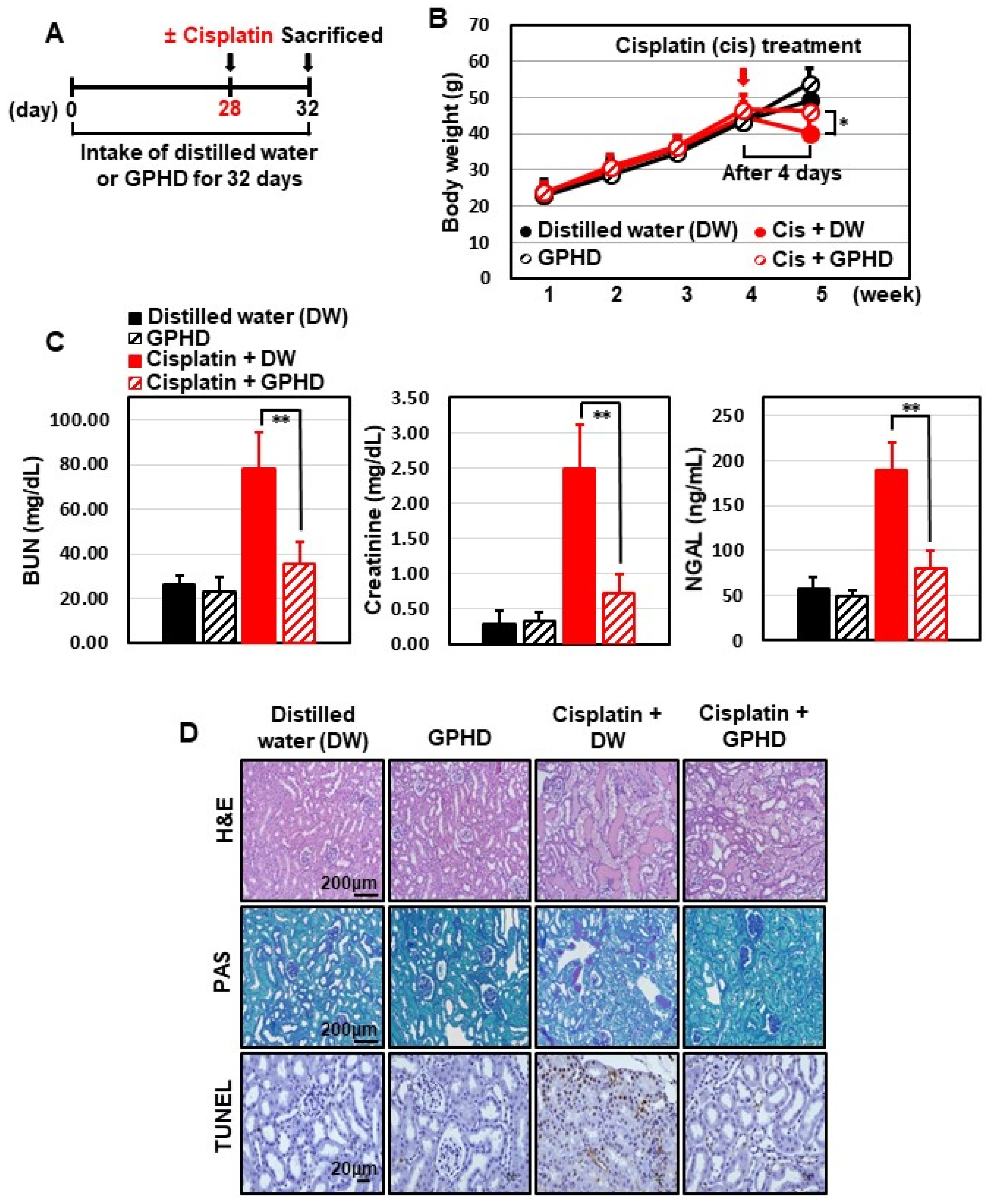 Nutrients 14 04997 g005a Nutrients 14 04997 g005a