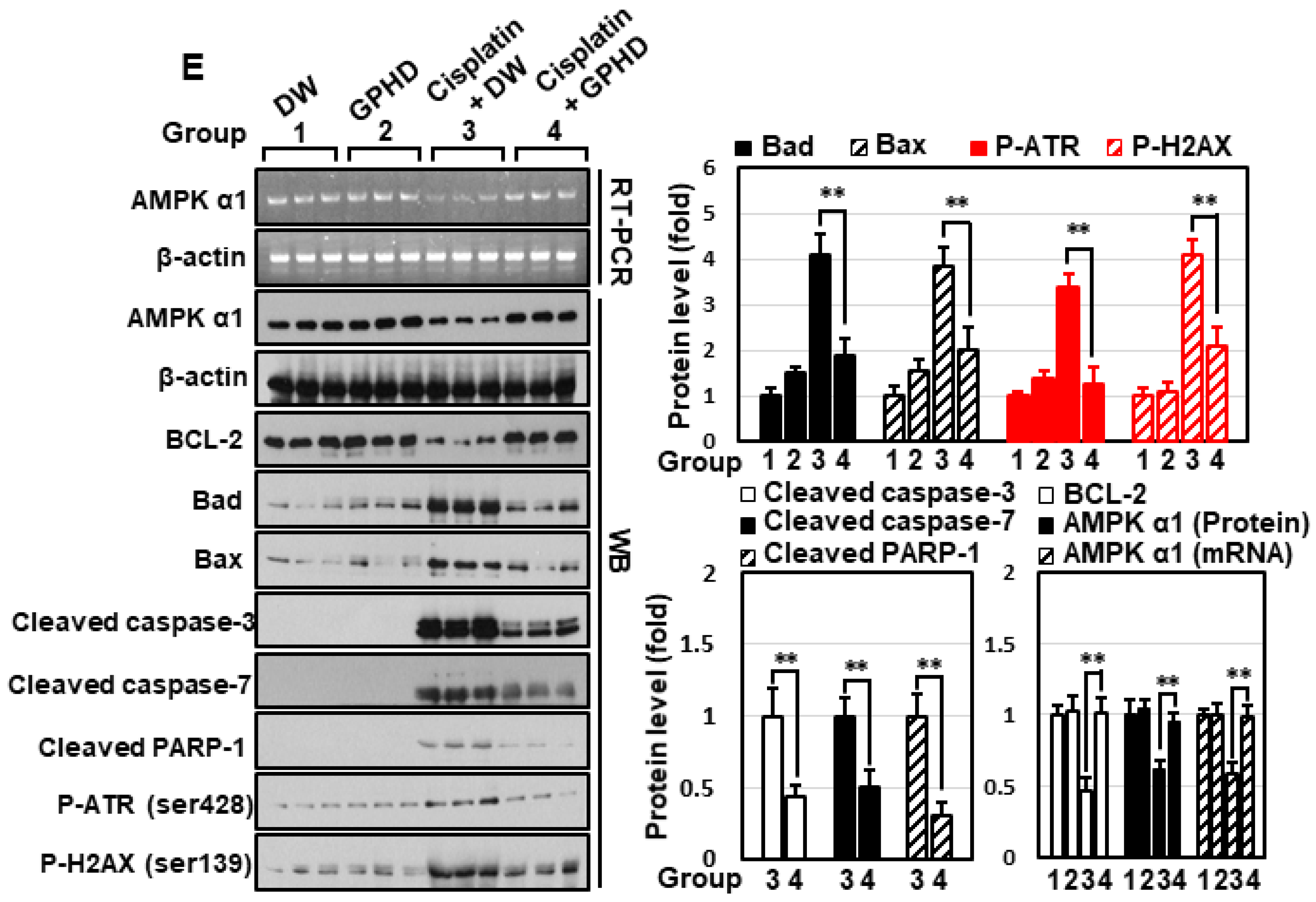 Nutrients 14 04997 g005b Nutrients 14 04997 g005b
