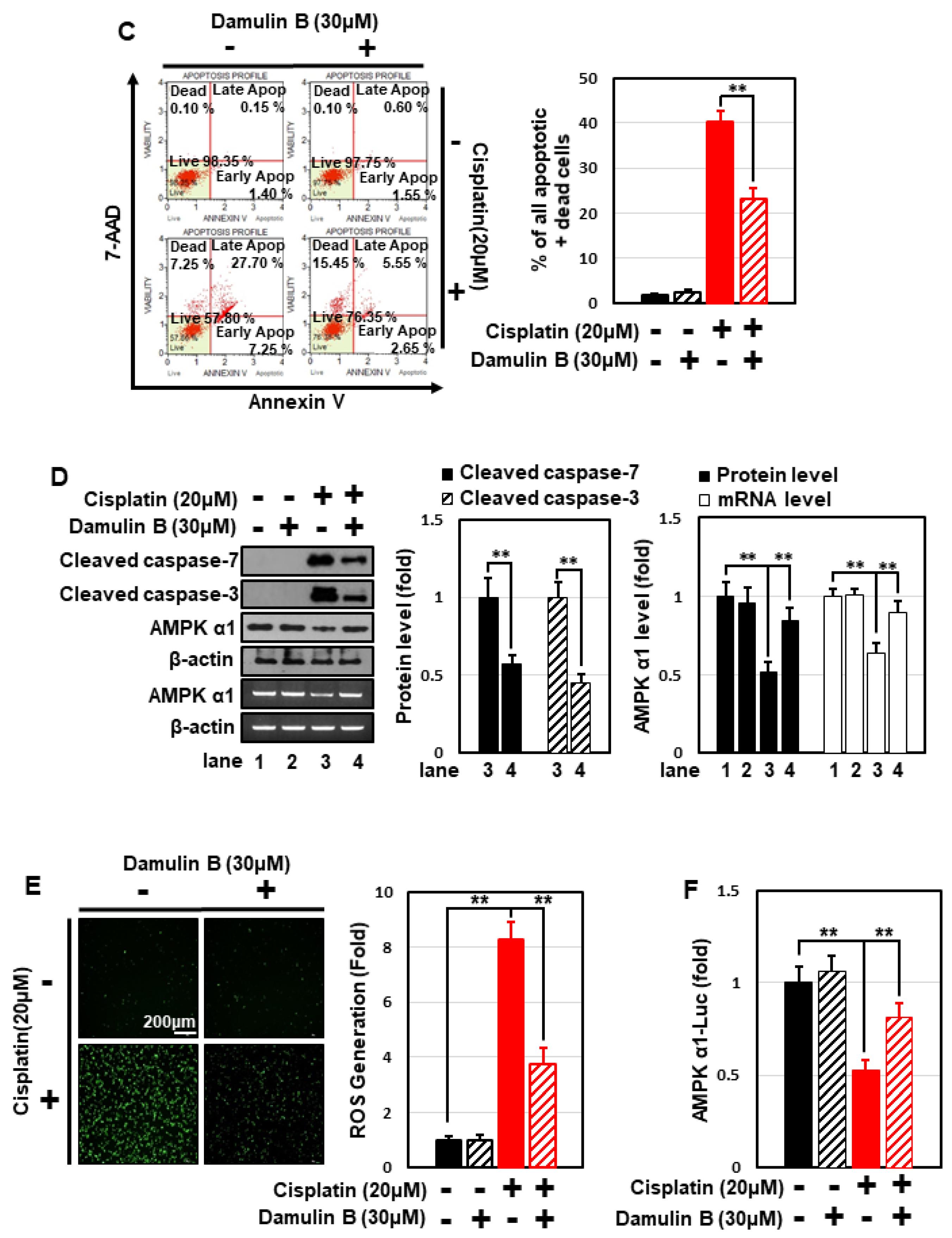 Nutrients 14 04997 g007b Nutrients 14 04997 g007b