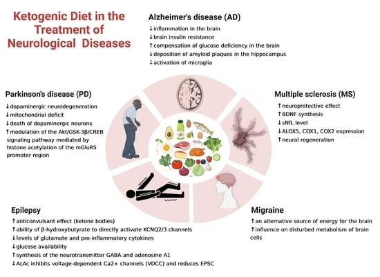 Nutrients | Free Full-Text | The Role of Ketogenic Diet in the ...