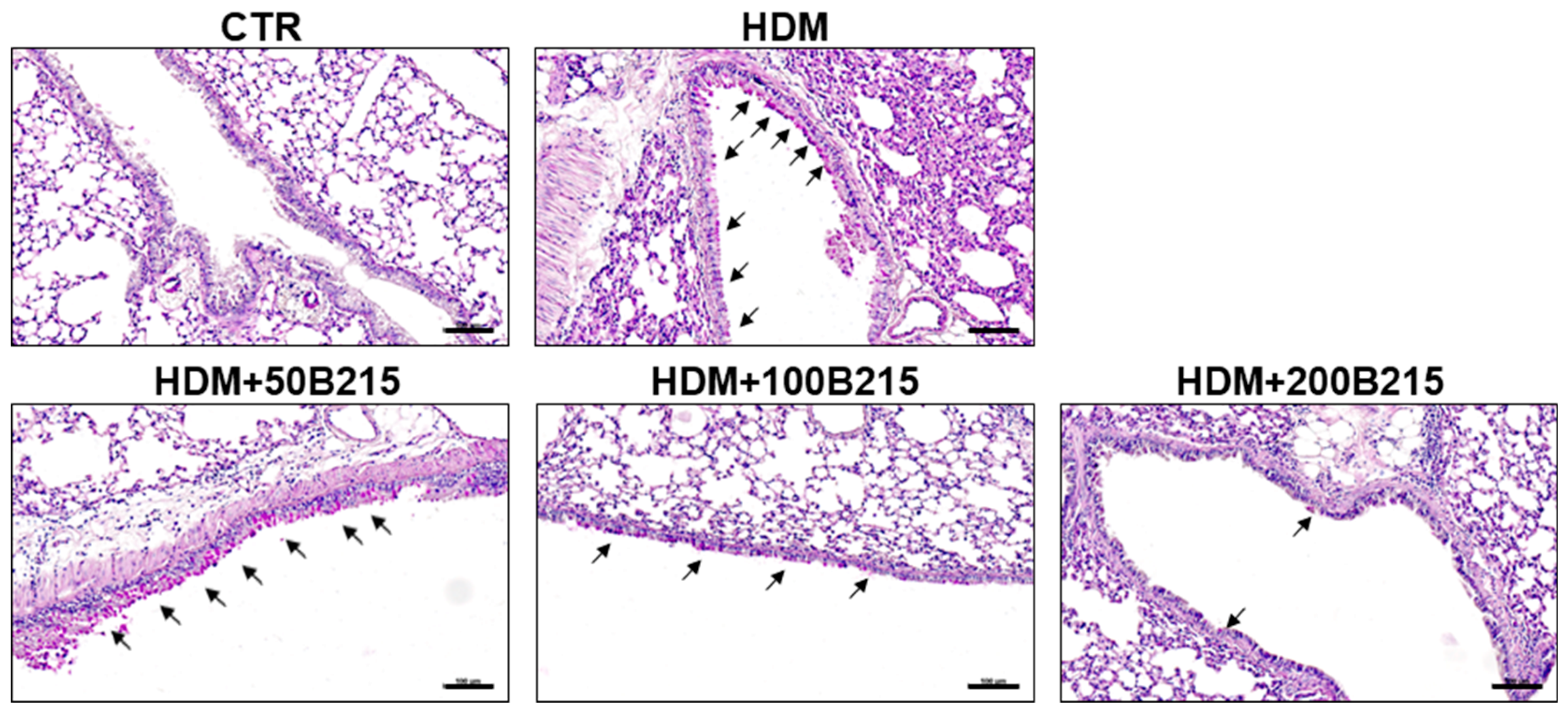Nutrients 14 05024 g004 Nutrients 14 05024 g004