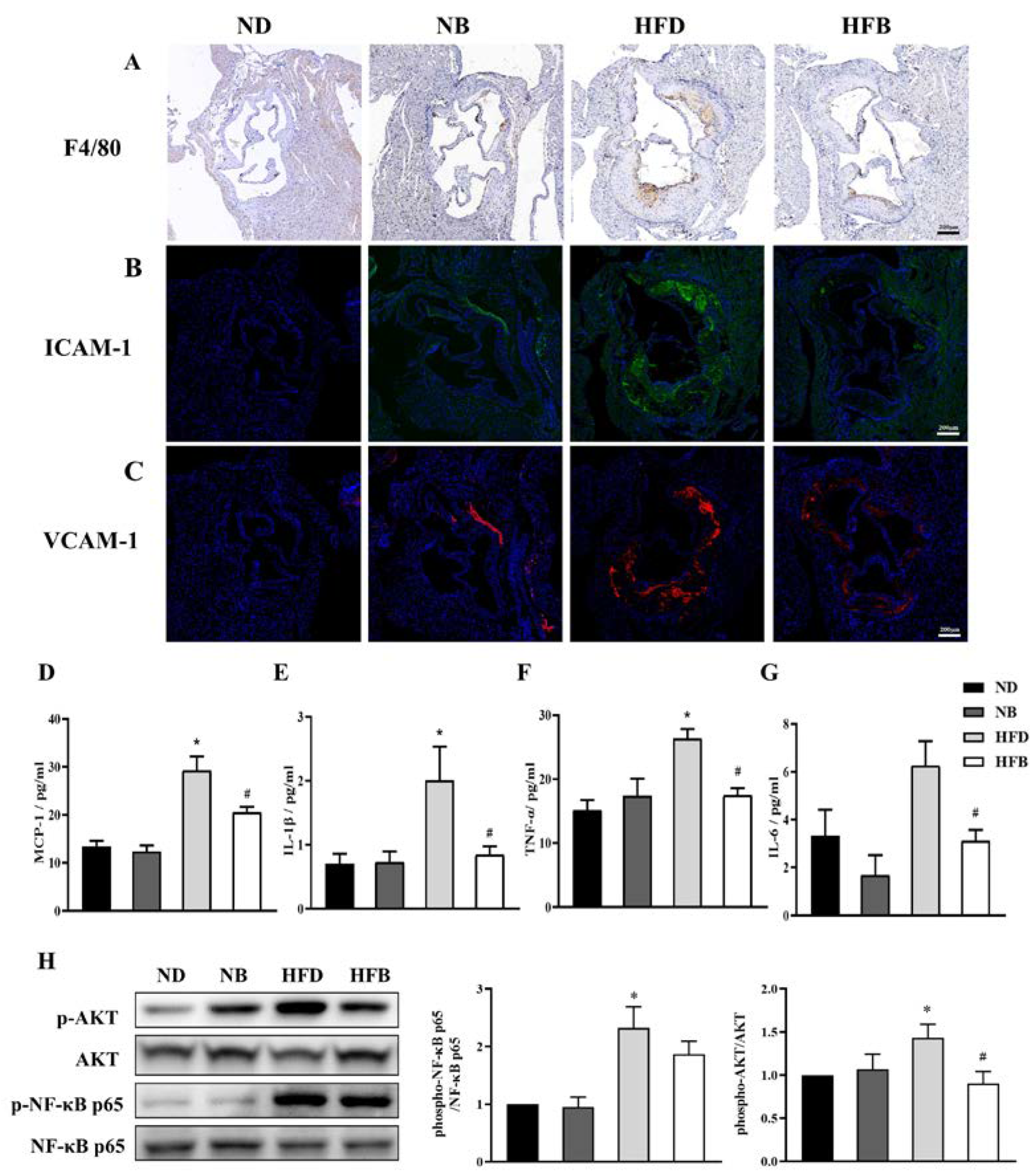 Nutrients 14 05065 g004 Nutrients 14 05065 g004