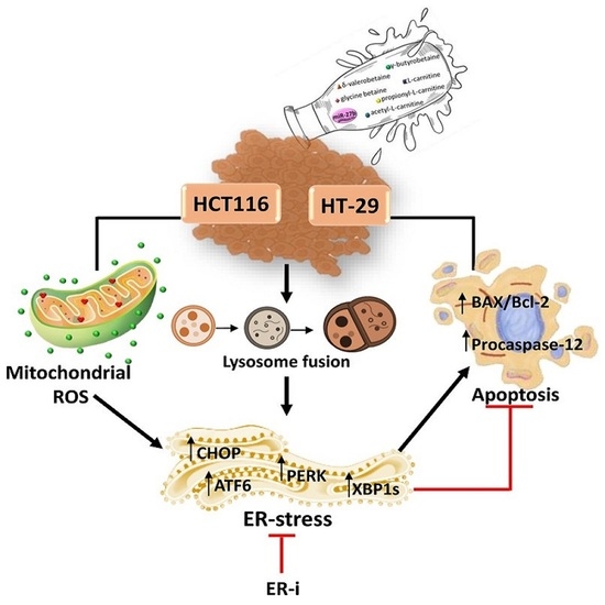 infinite therapeutics it 8800