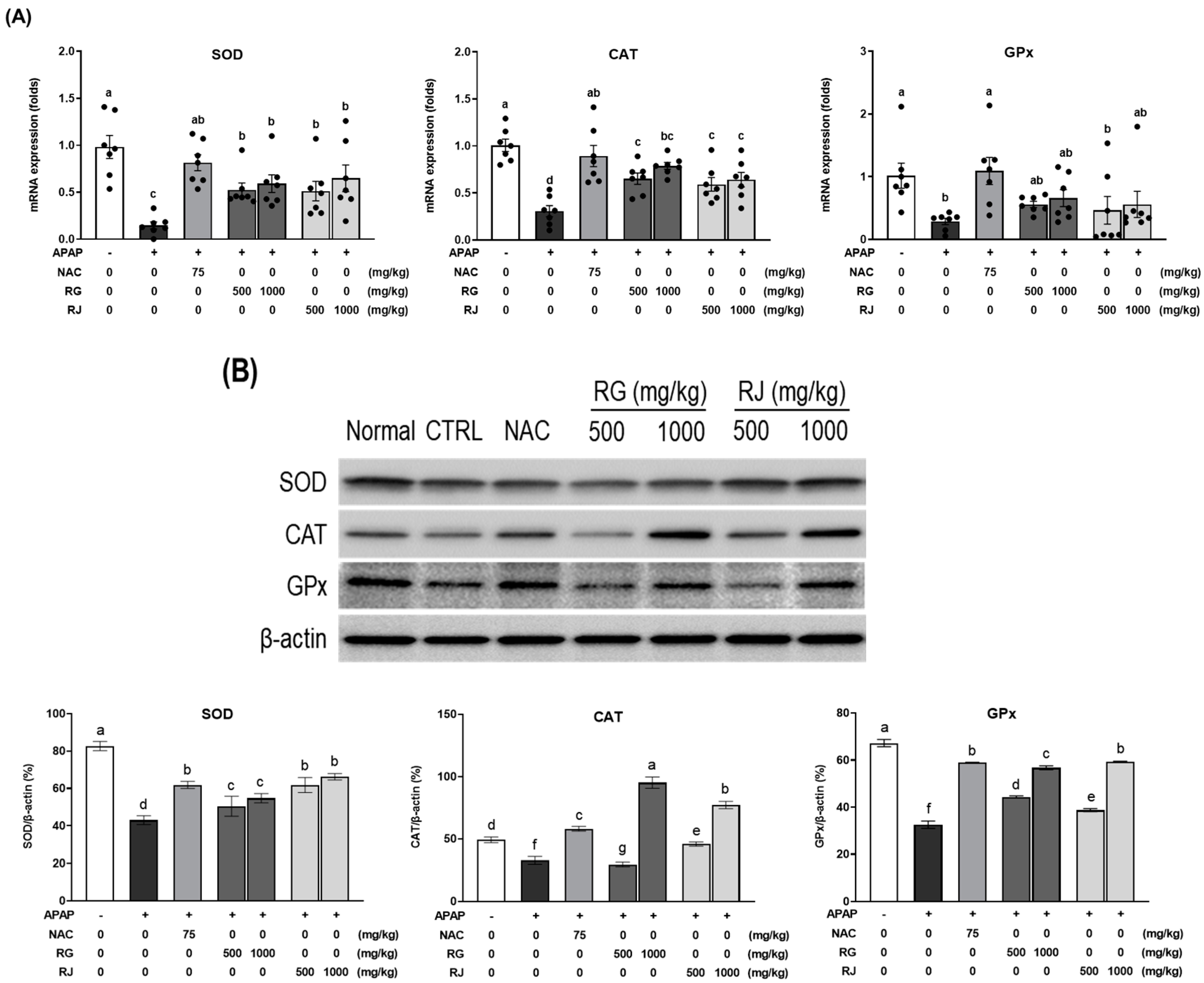 Nutrients 14 05082 g006