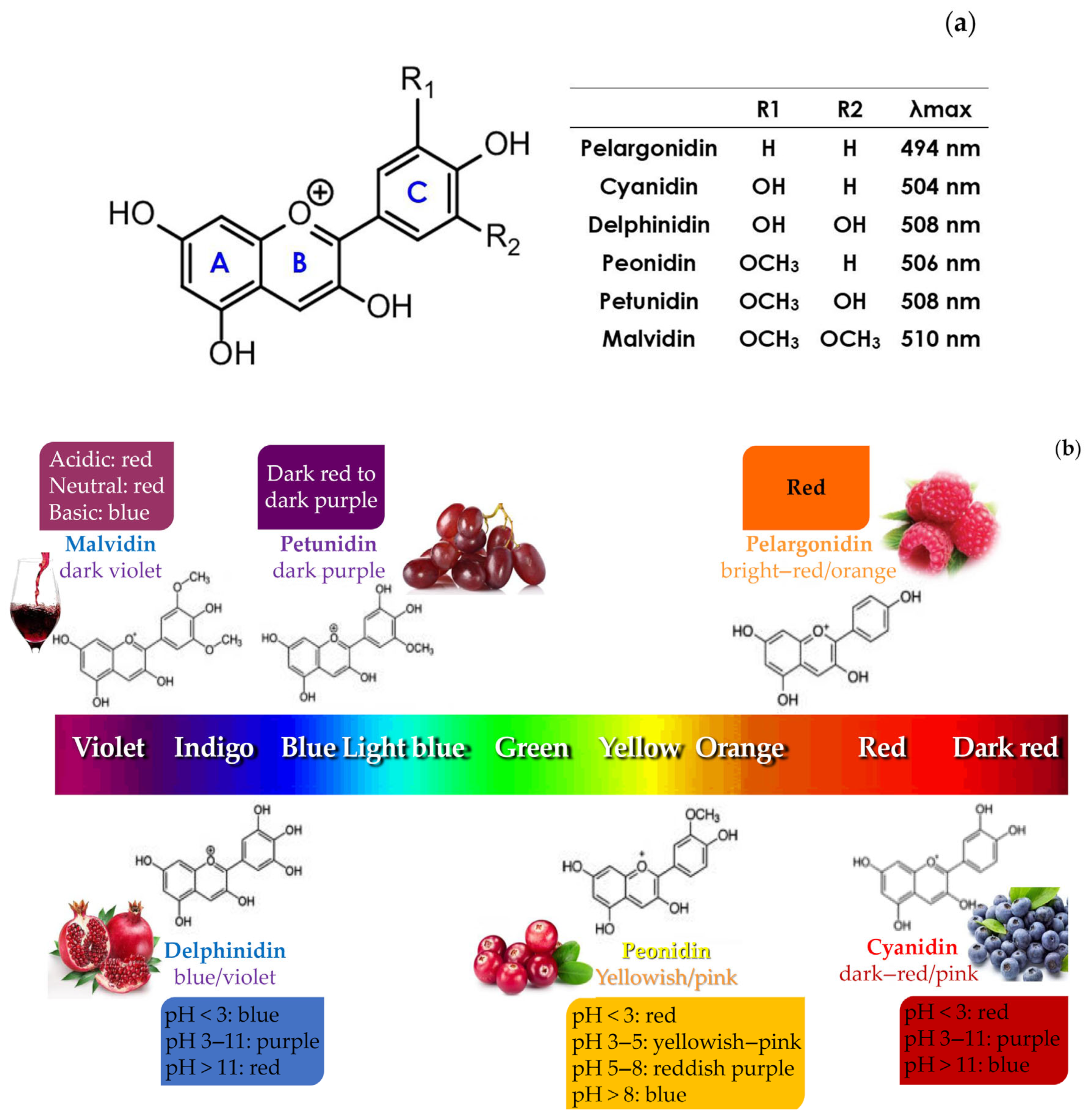 Nutrients | Free Full-Text | Behind the Scenes of Anthocyanins&mdash;From  the Health Benefits to Potential Applications in Food, Pharmaceutical and  Cosmetic Fields
