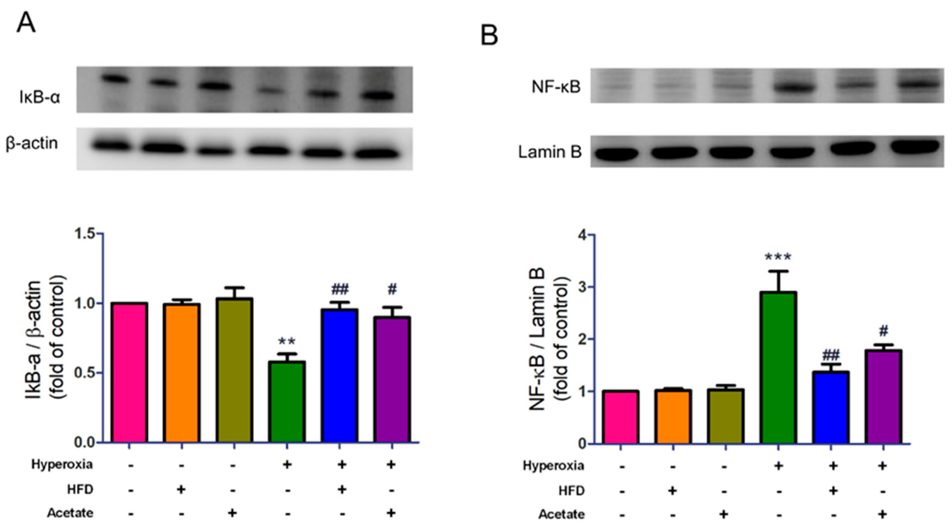 Nutrients 14 05231 g006