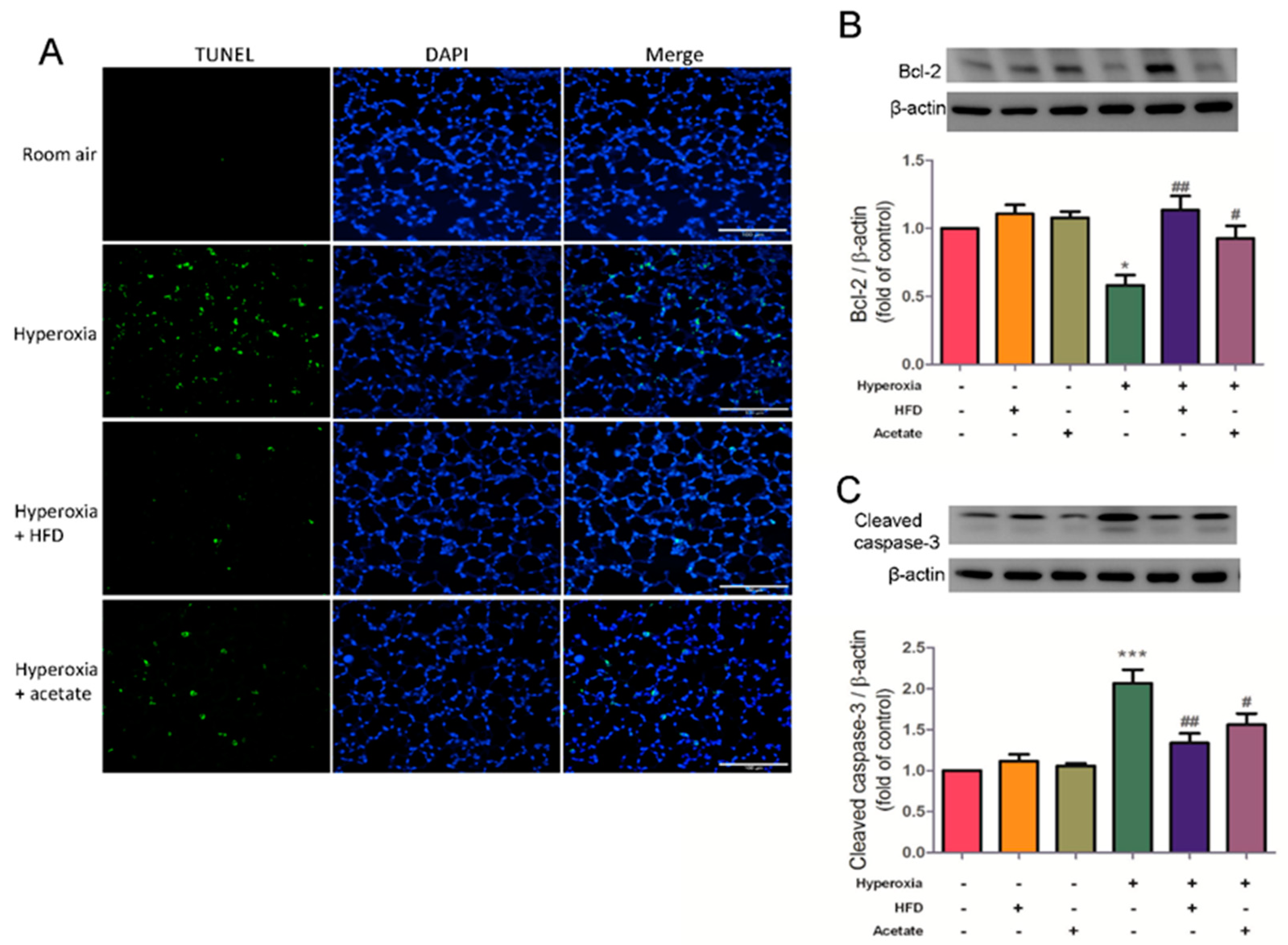 Nutrients 14 05231 g007