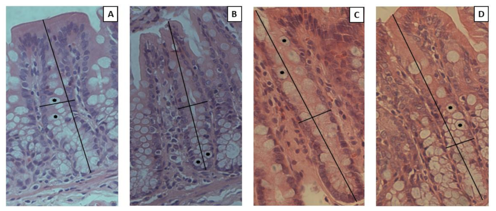 Nutrients 14 05234 g009