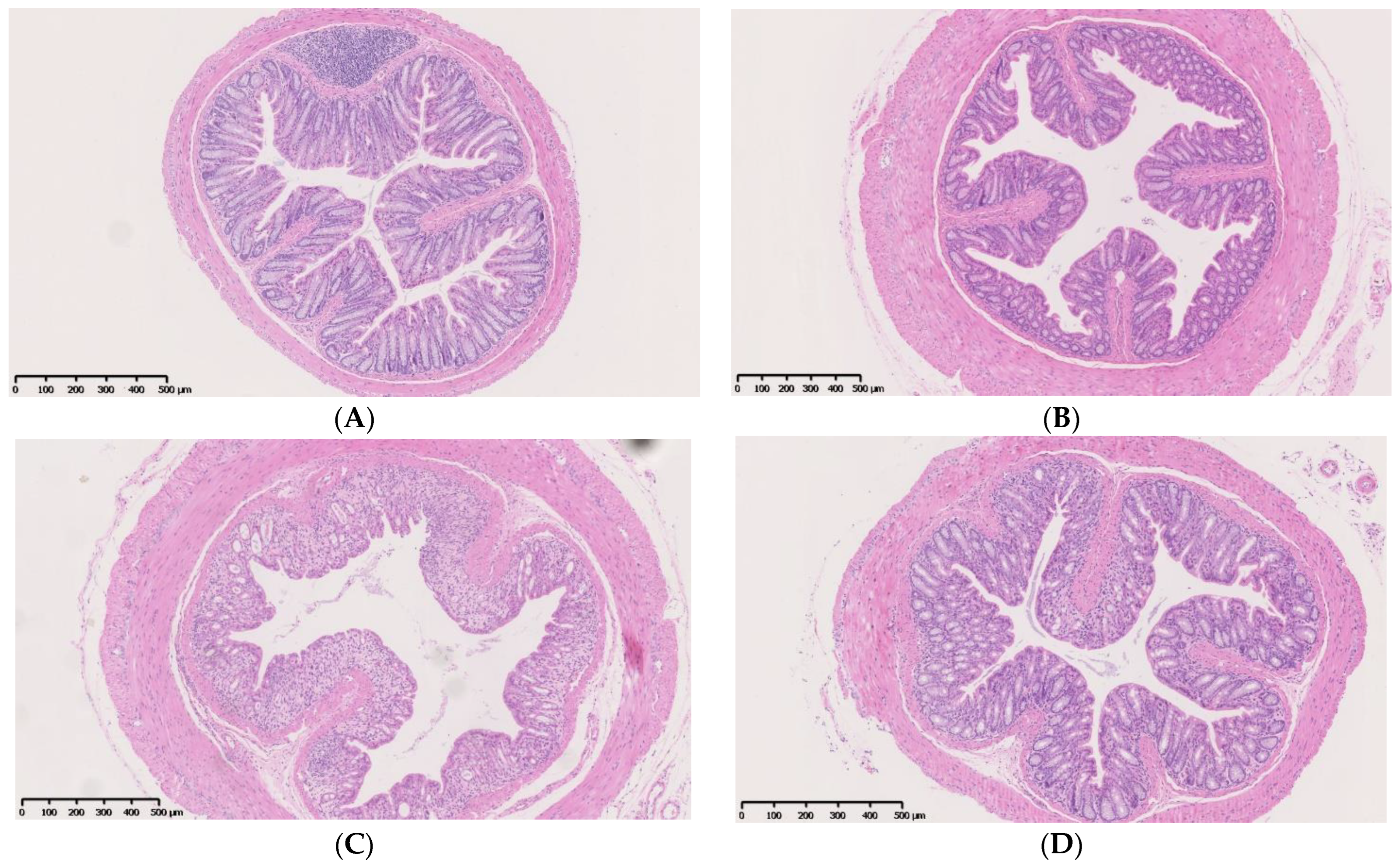 Nutrients 14 05311 g006a