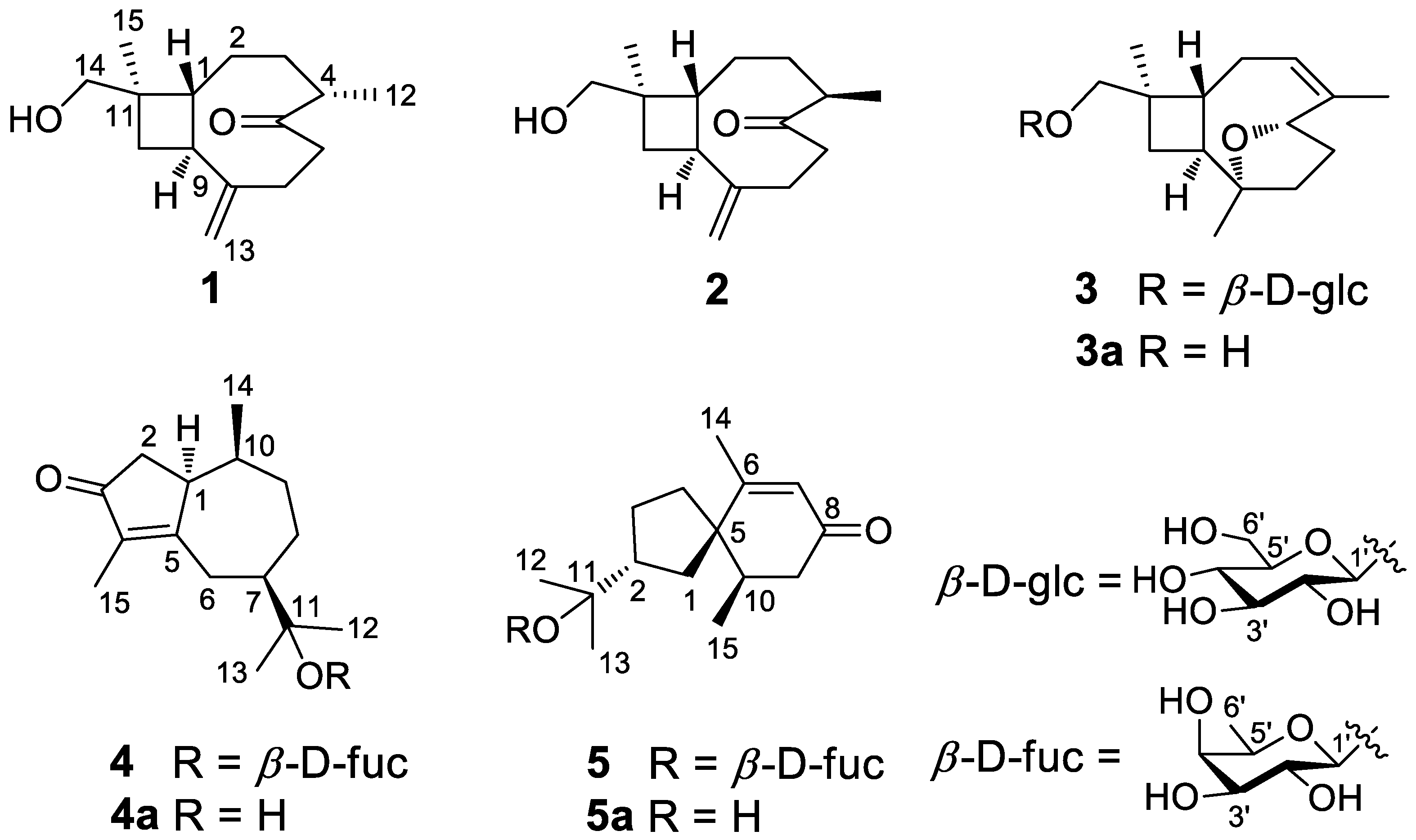 Nutrients 14 05348 g001 Nutrients 14 05348 g001