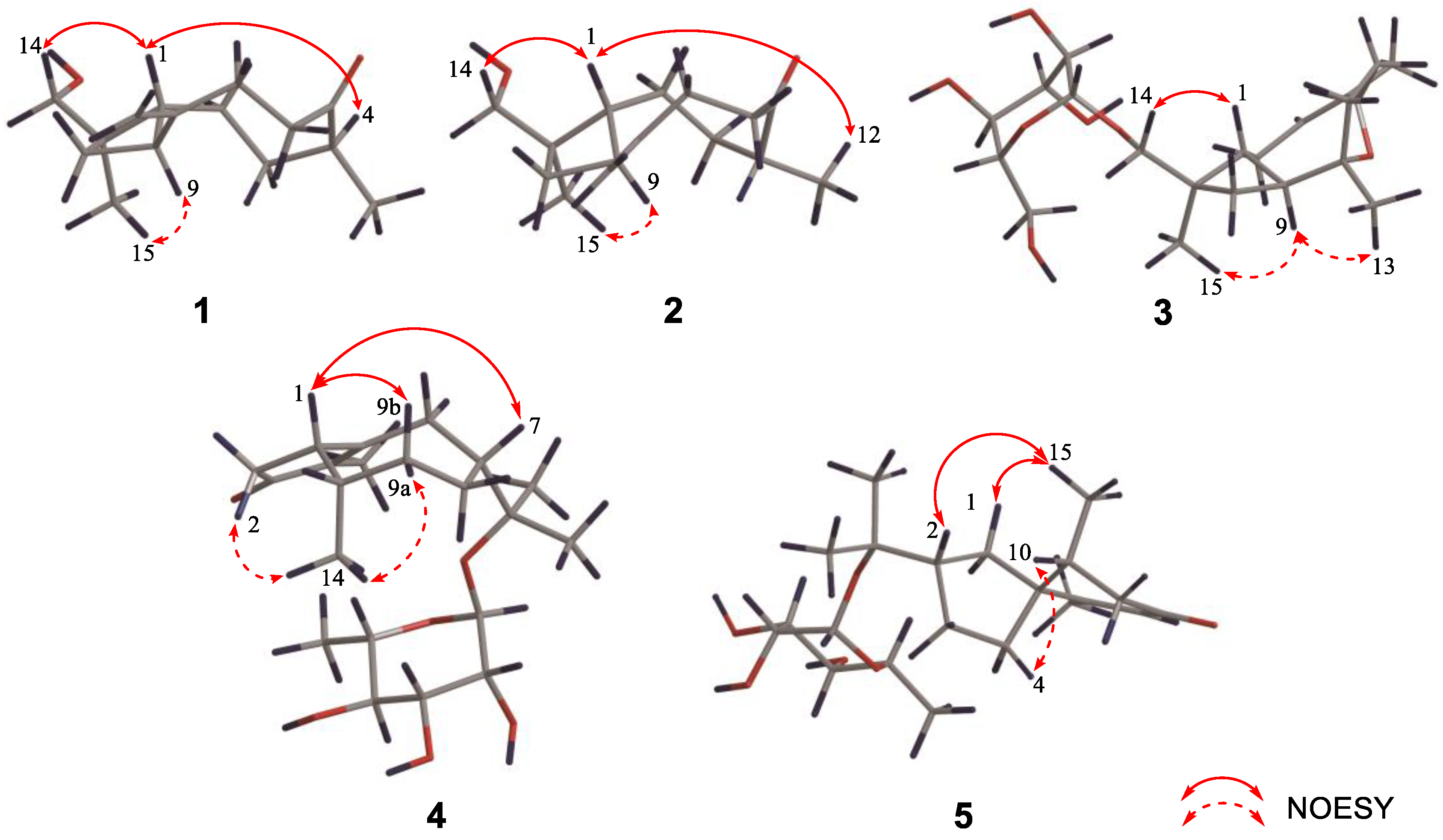 Nutrients 14 05348 g003 Nutrients 14 05348 g003