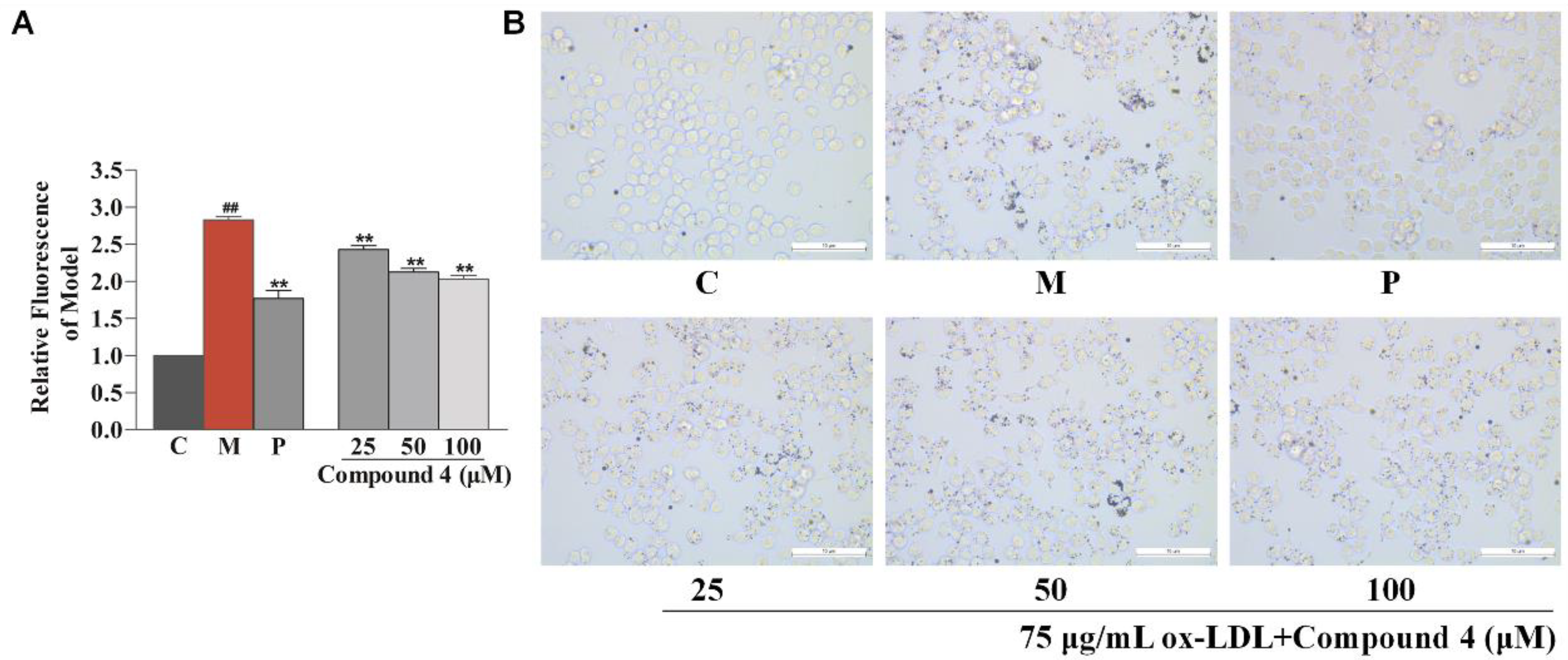 Nutrients 14 05348 g006 Nutrients 14 05348 g006