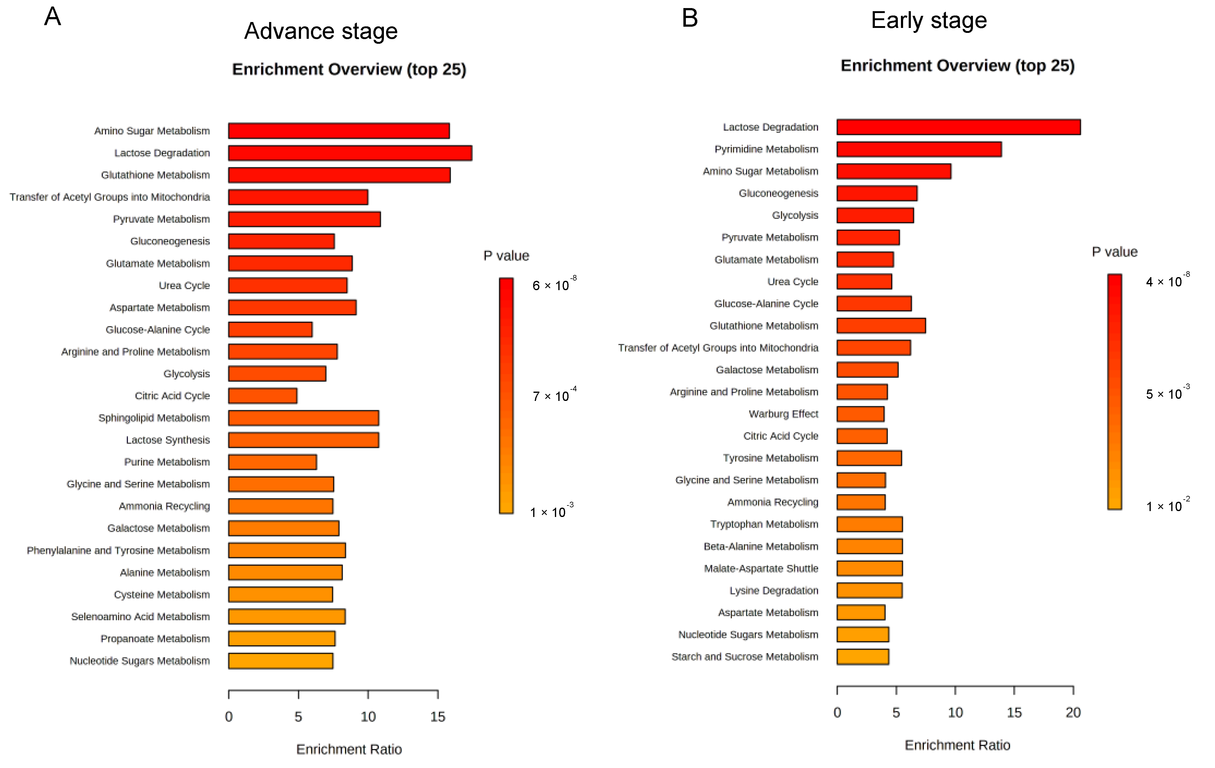 Nutrients 15 00003 g003