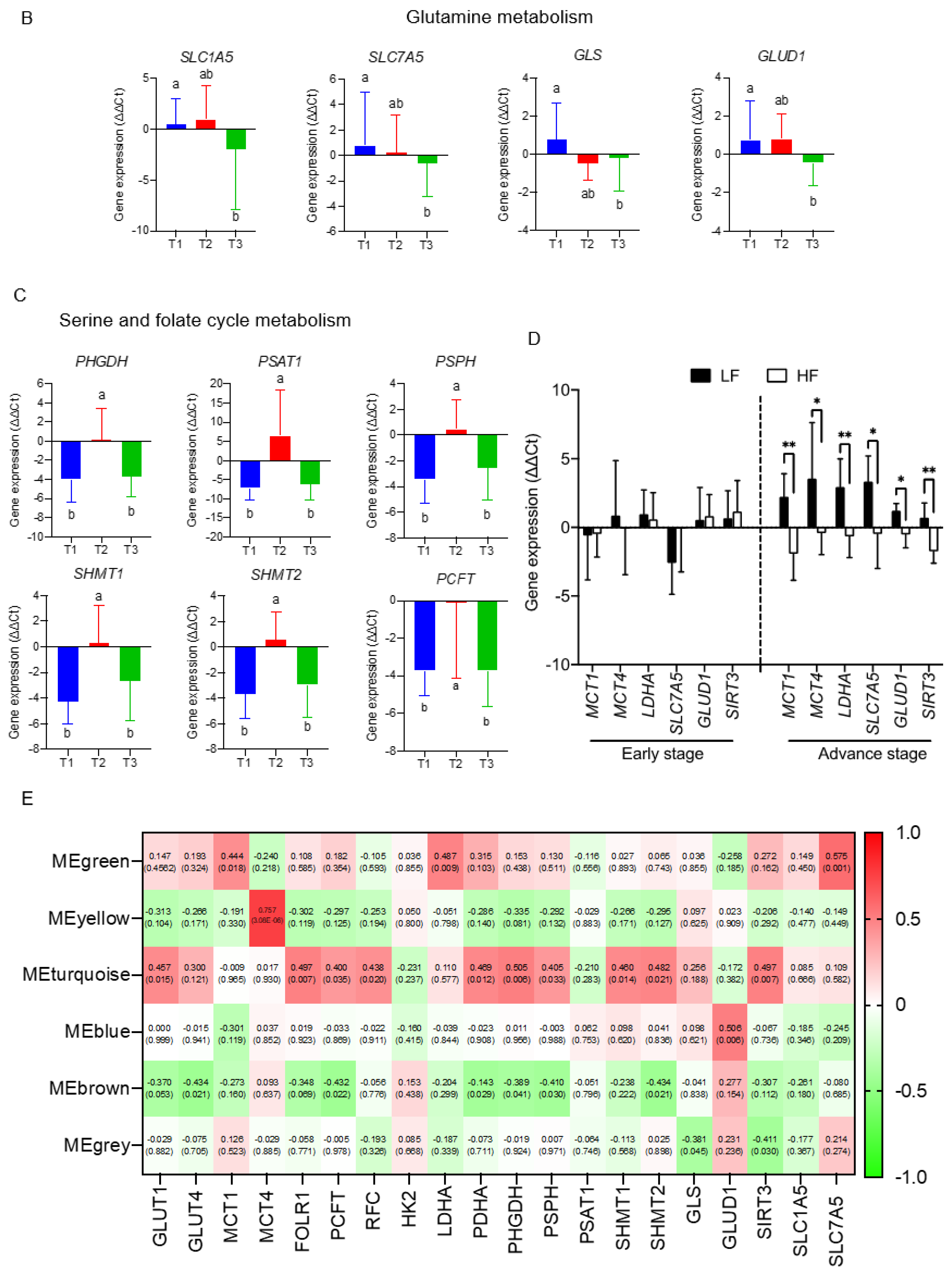 Probing Folate Responsive and Stage Sensitive Metabolomics and  