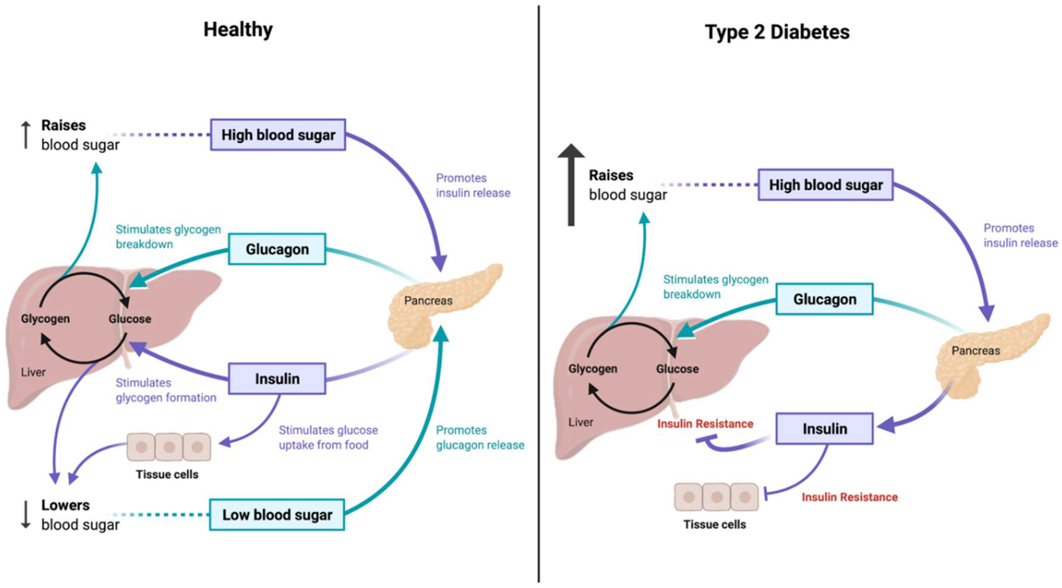 Nutrients 15 00037 g002